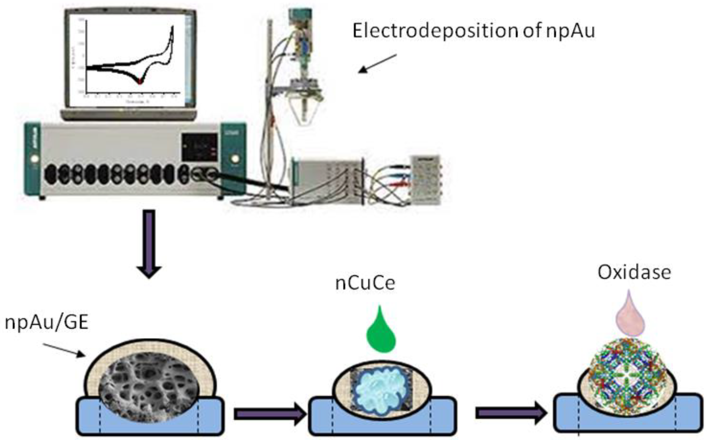 Engproc 16 00003 g001