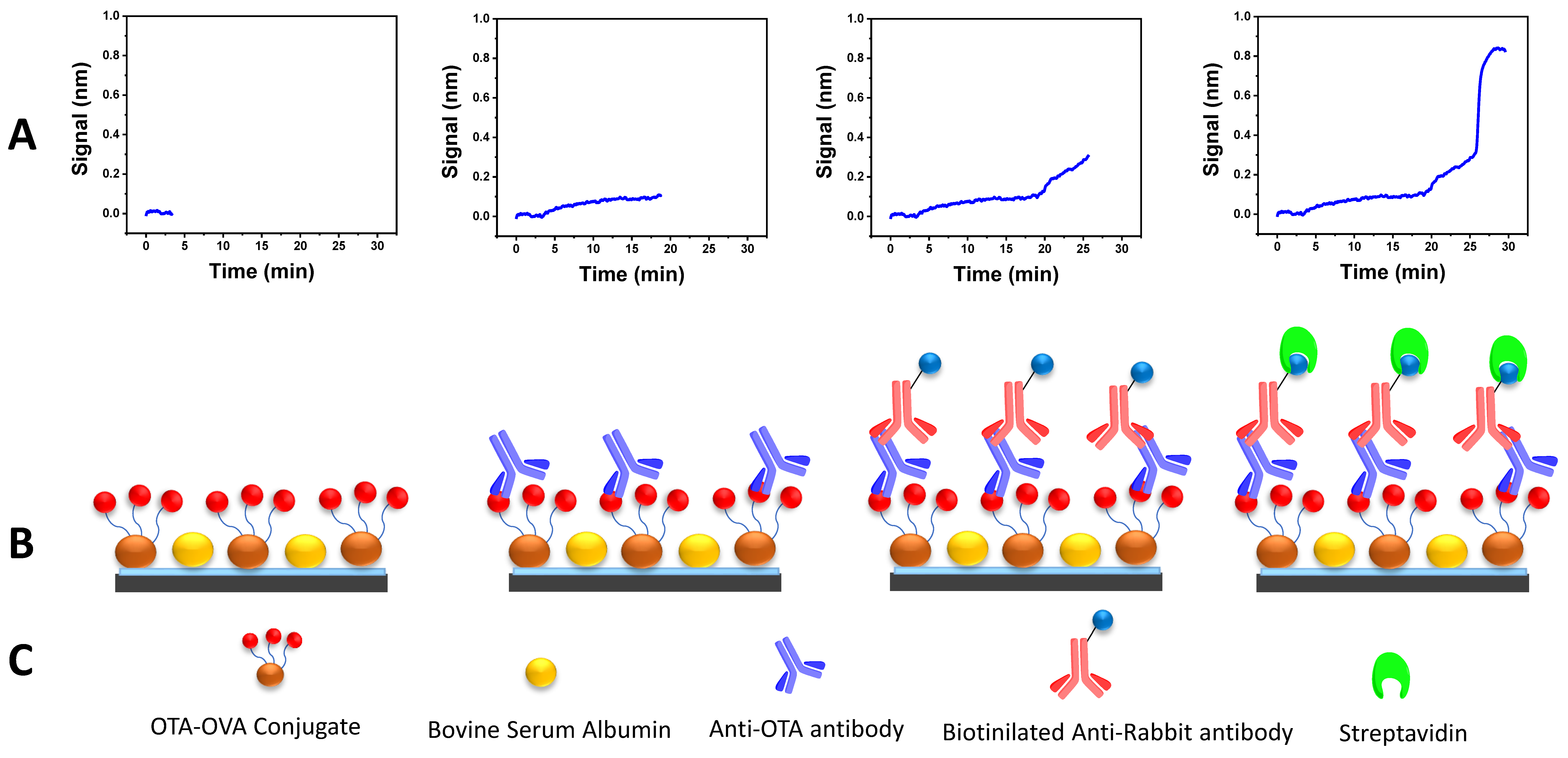 Engproc 16 00014 g001
