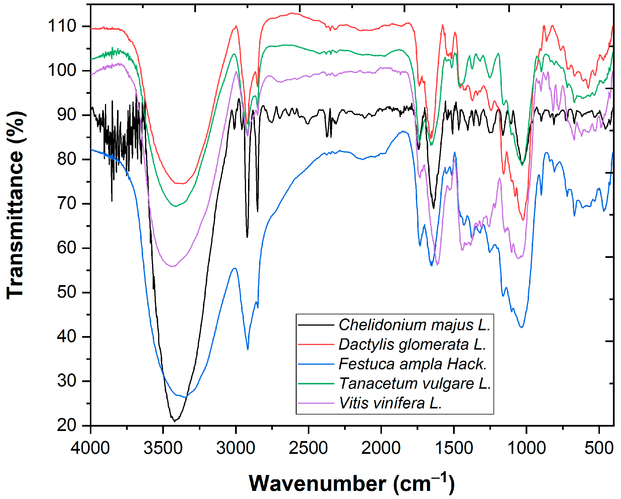 Engproc 19 00038 g001