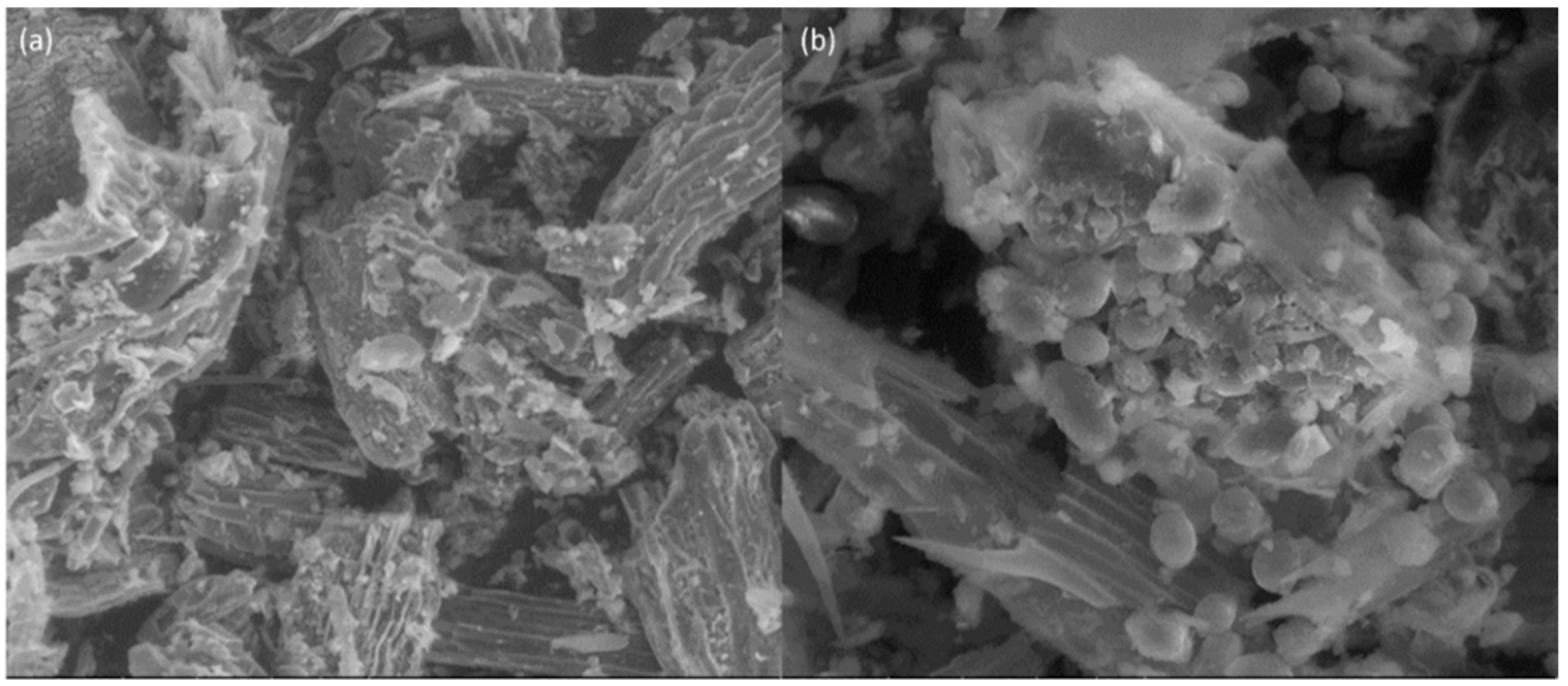 Engproc 19 00038 g002