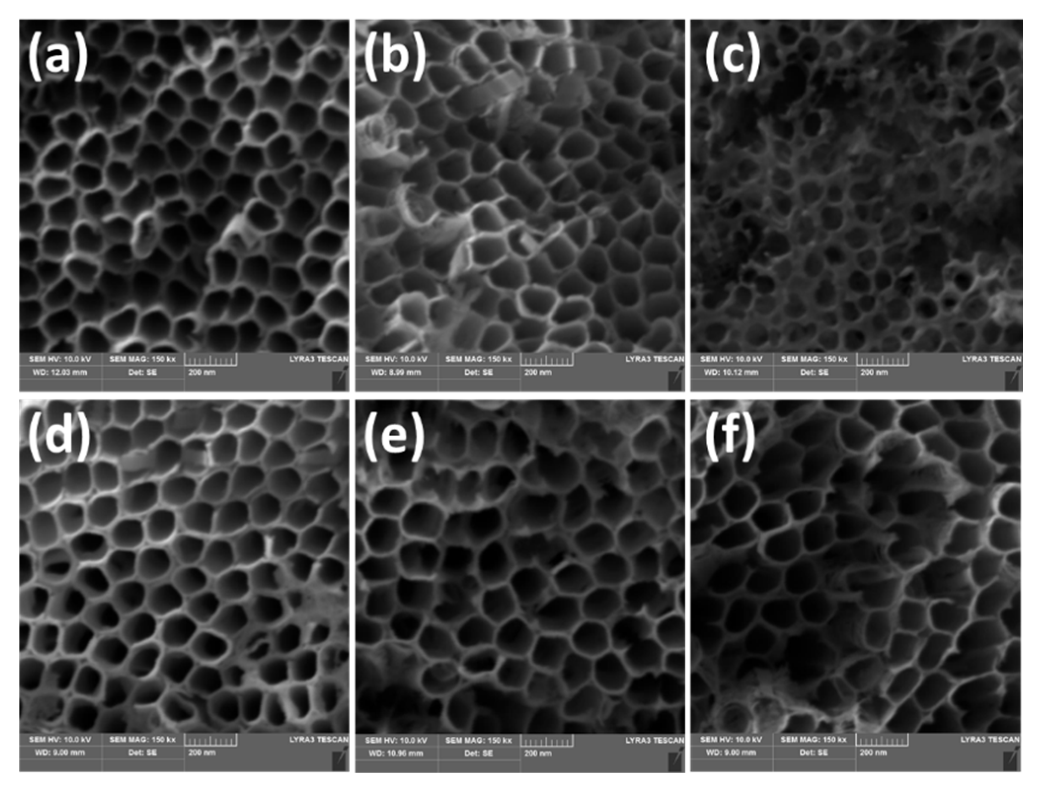 Engproc 19 00046 g002 550