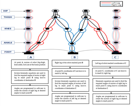 Walking Algorithm Using Gait Analysis for Humanoid Robot