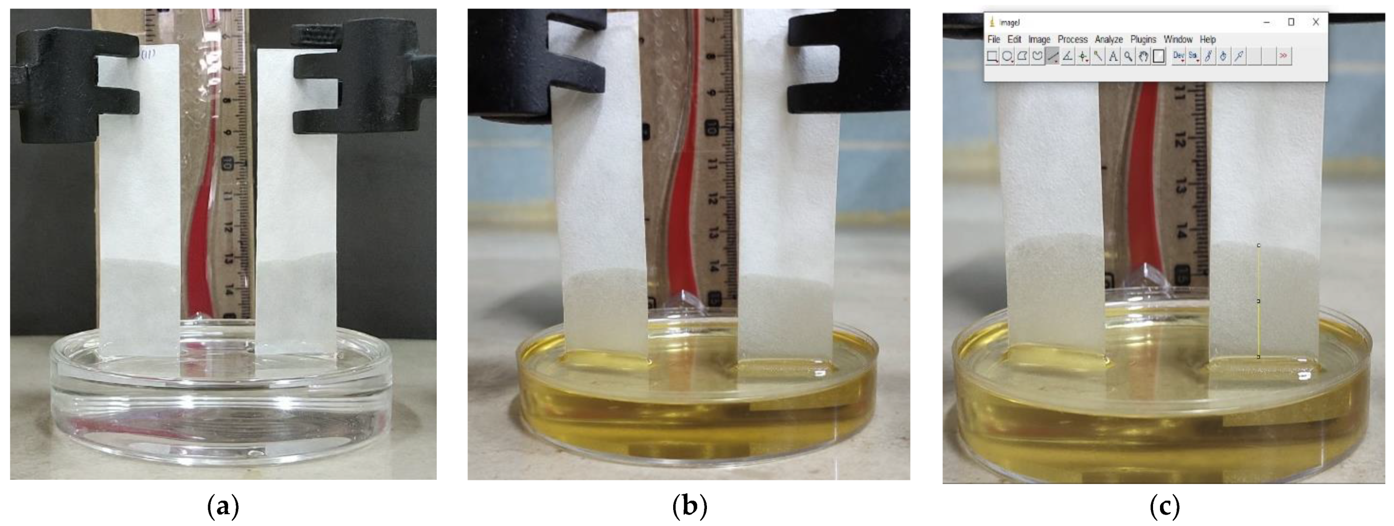 Engproc 23 00033 g002 550