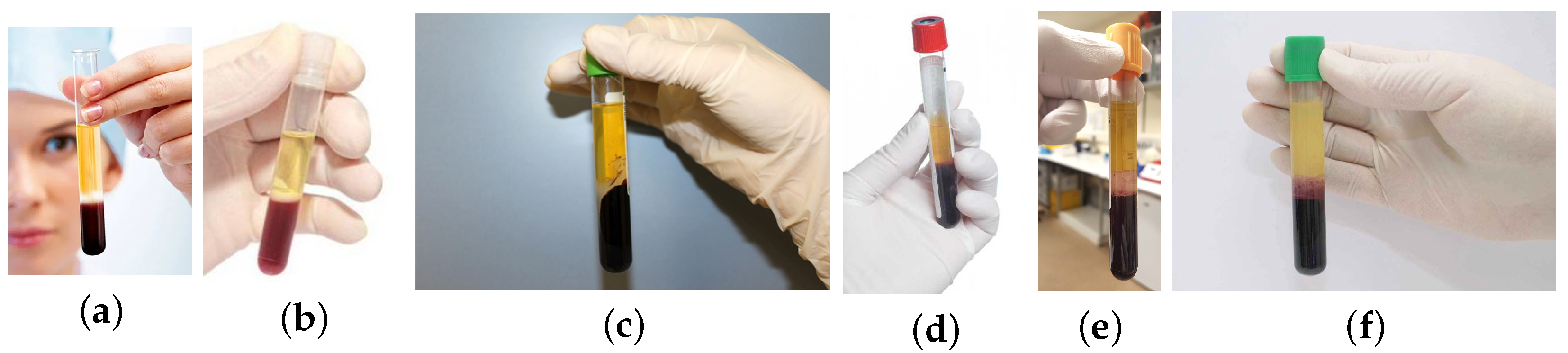 Engproc 24 00017 g005 550