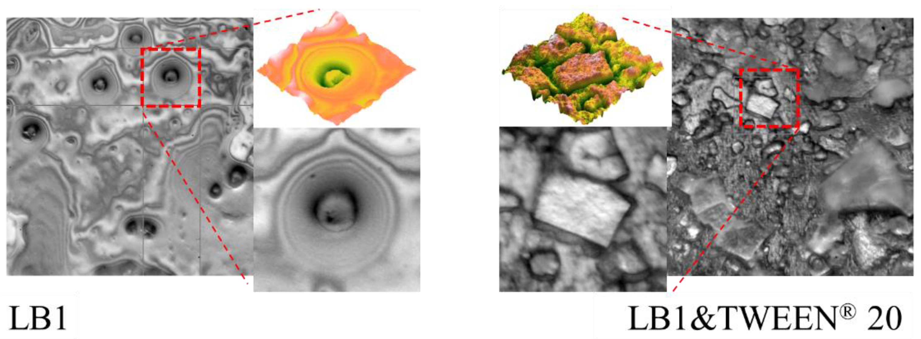 Engproc 27 00040 g002