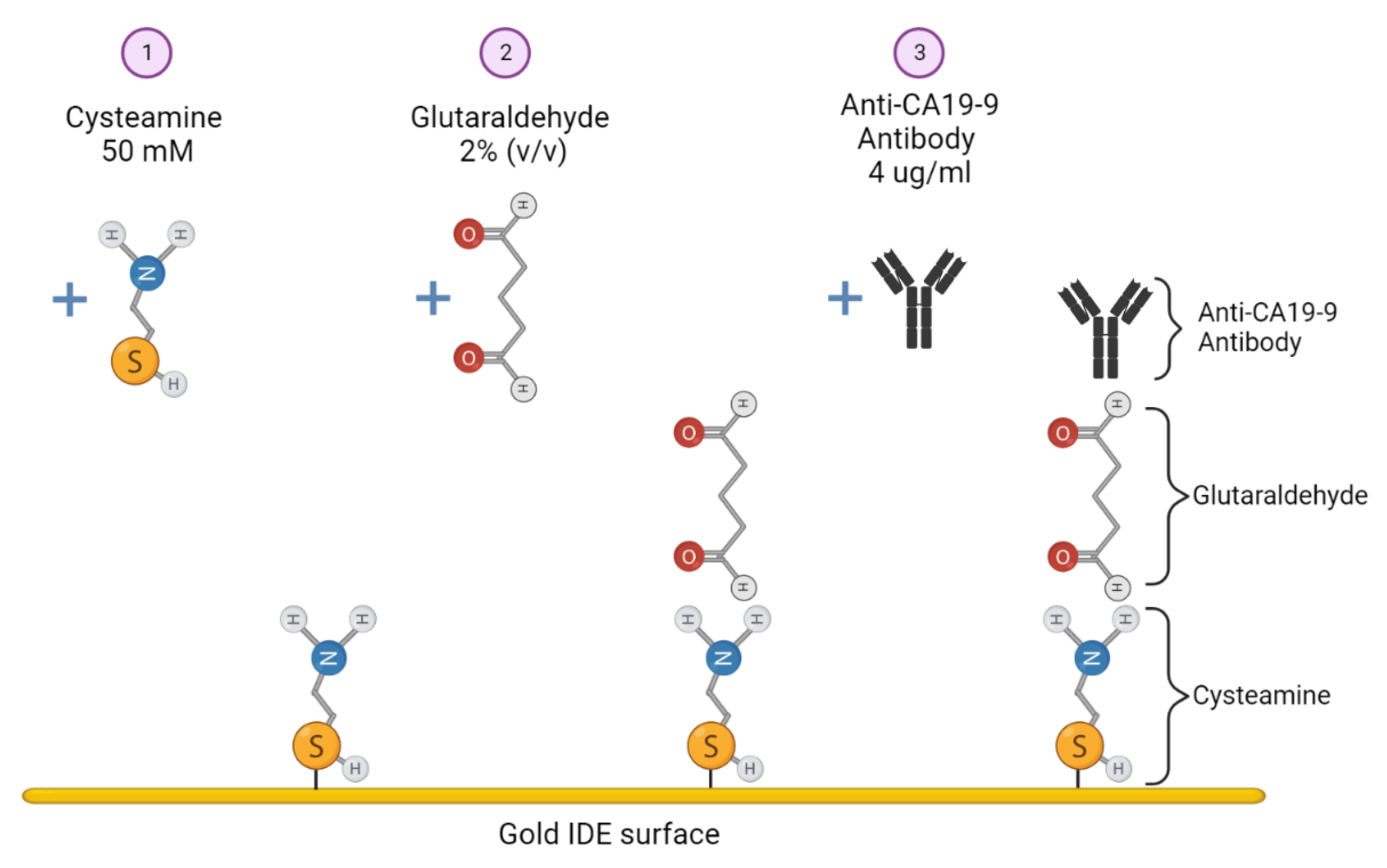 Engproc 27 00074 g002