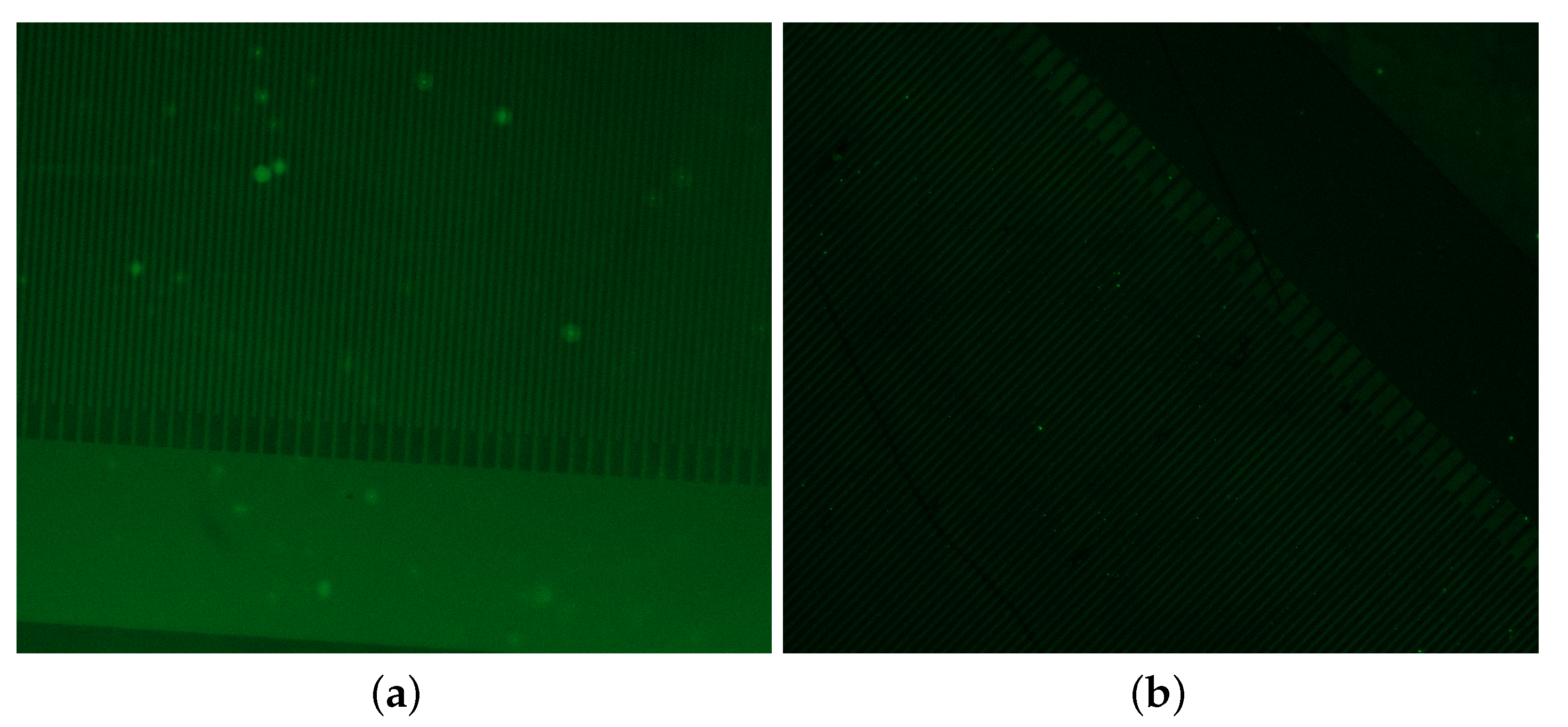 Engproc 27 00074 g003