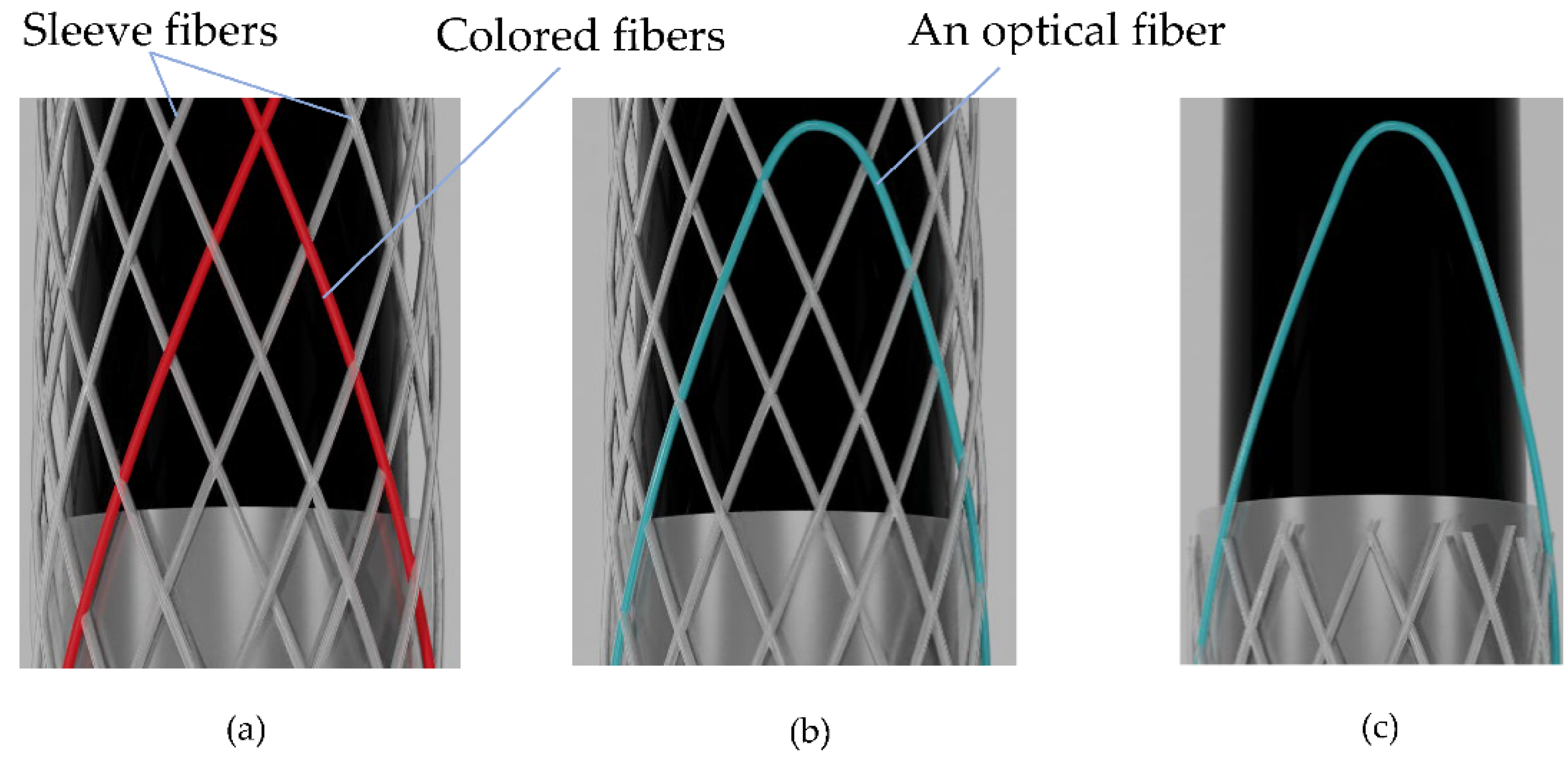 Engproc 27 00086 g004