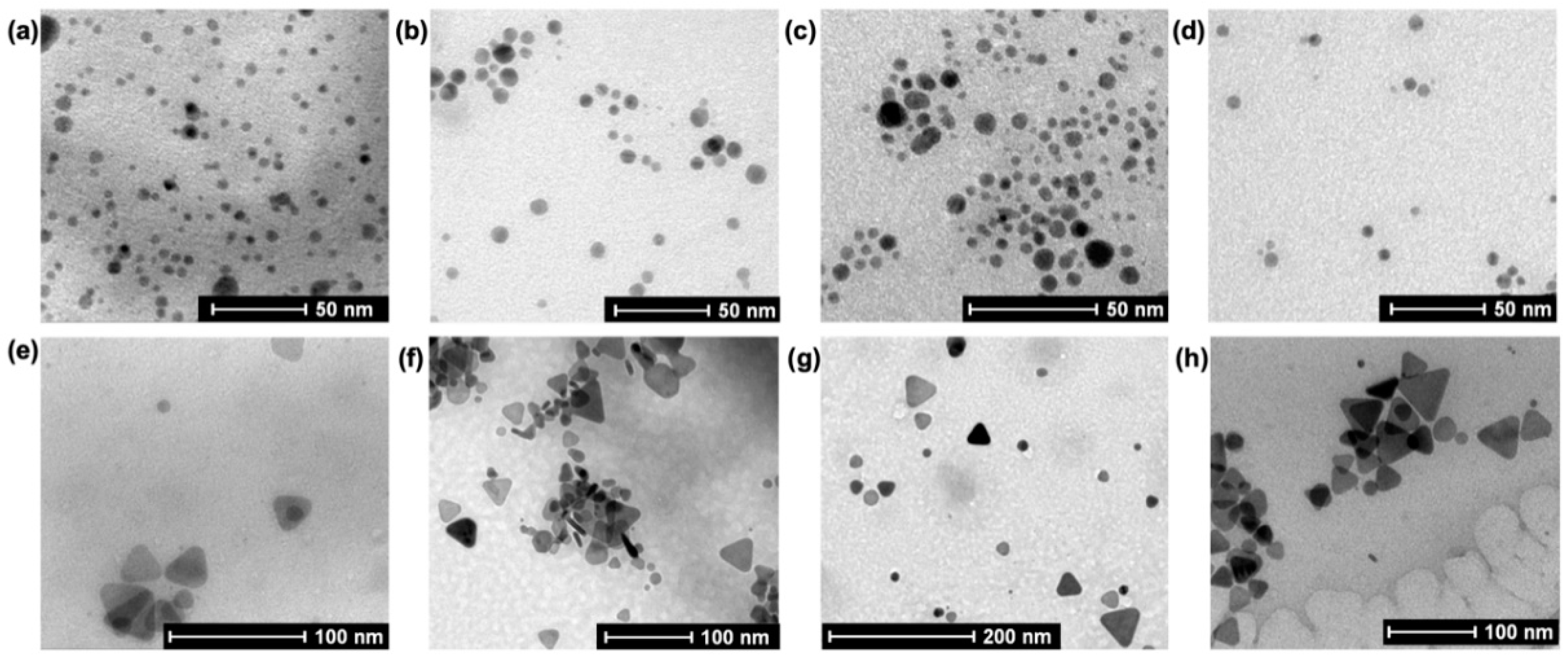 Engproc 31 00013 g002