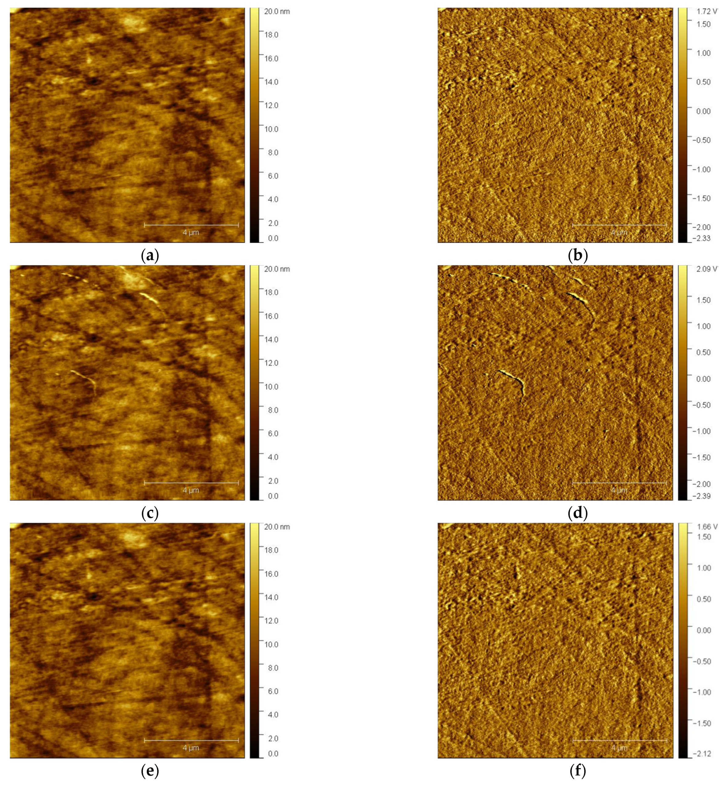 Engproc 31 00027 g001a Engproc 31 00027 g001a