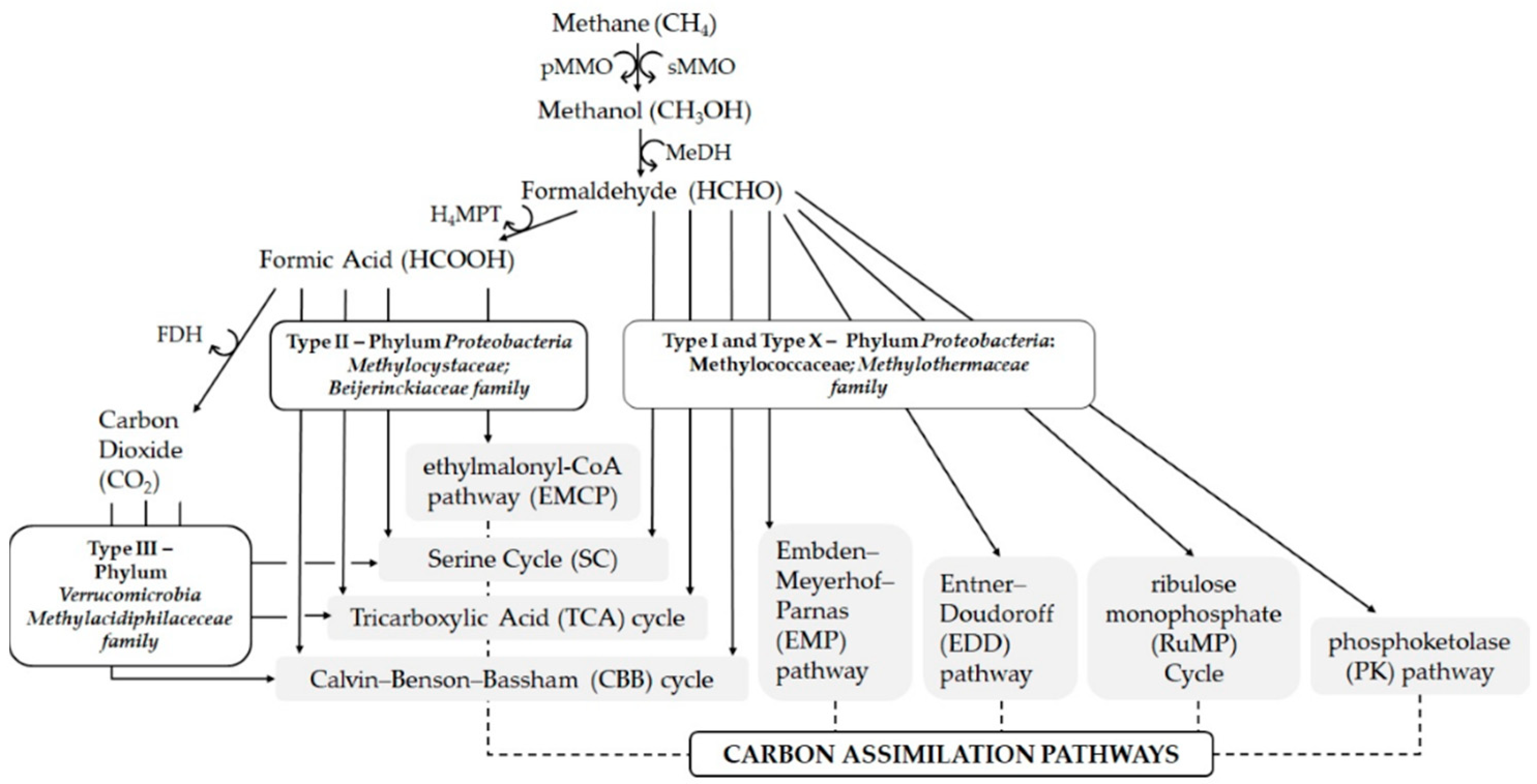 Engproc 31 00030 g001 Engproc 31 00030 g001