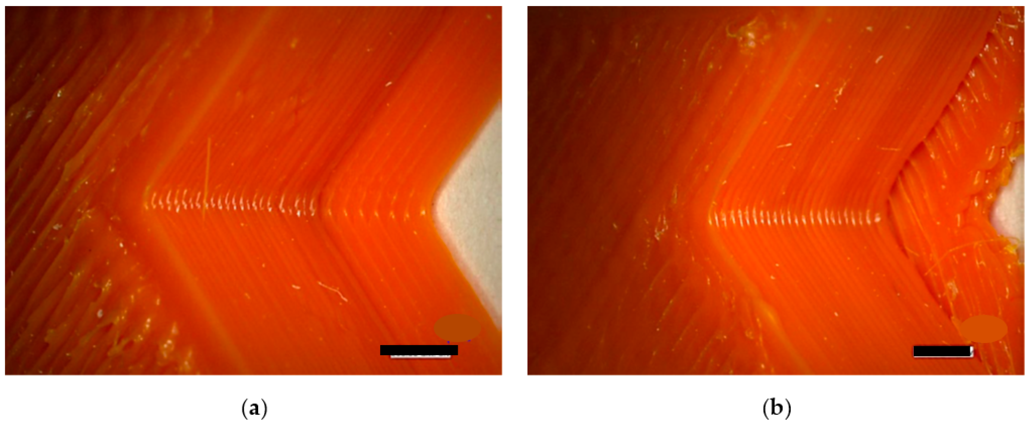 Engproc 31 00040 g002 Engproc 31 00040 g002