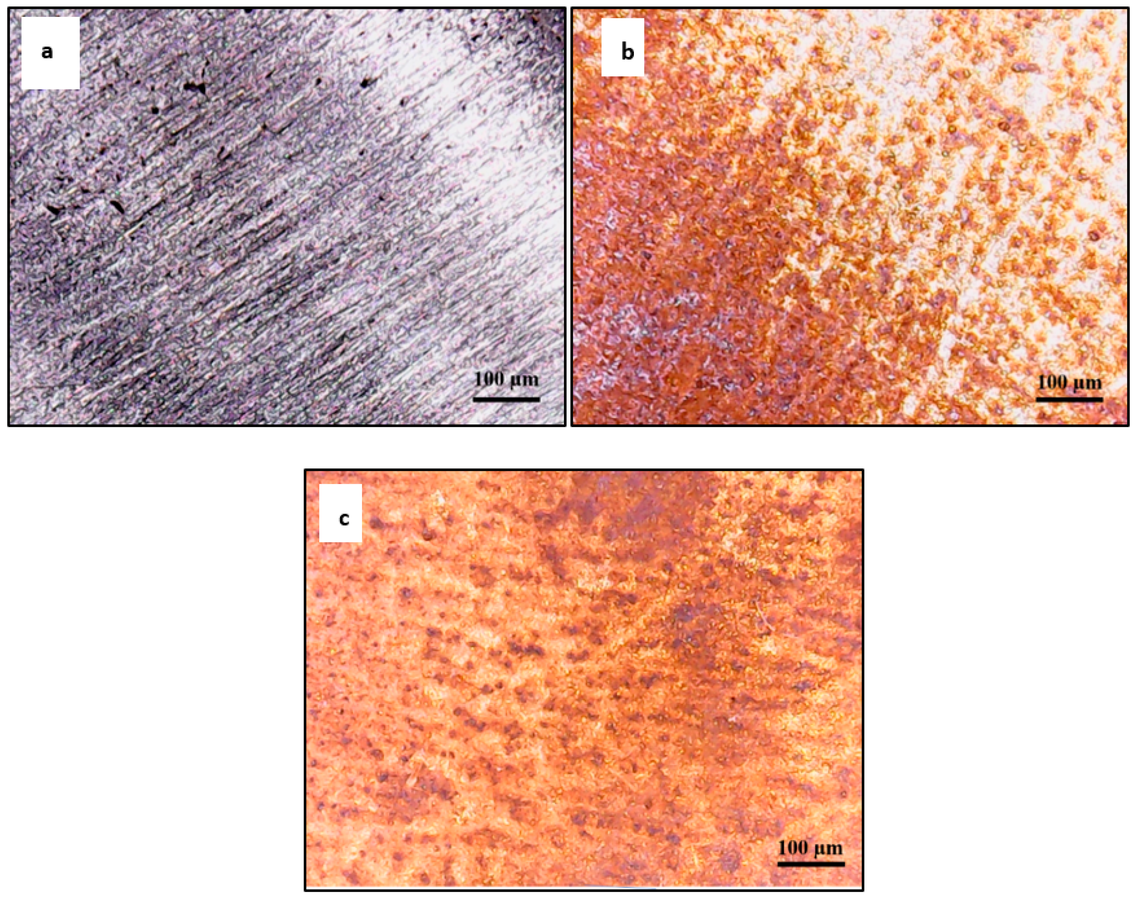 Engproc 31 00041 g004 Engproc 31 00041 g004