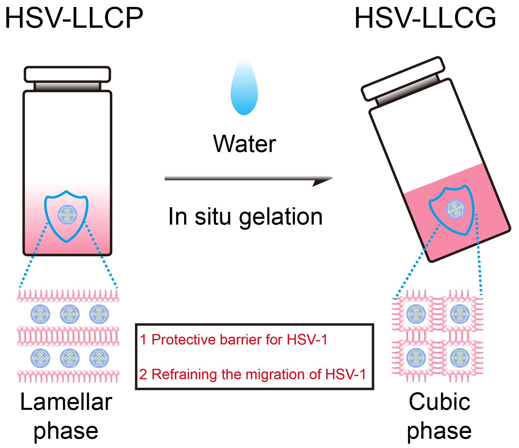 Engproc 31 00045 g001 Engproc 31 00045 g001