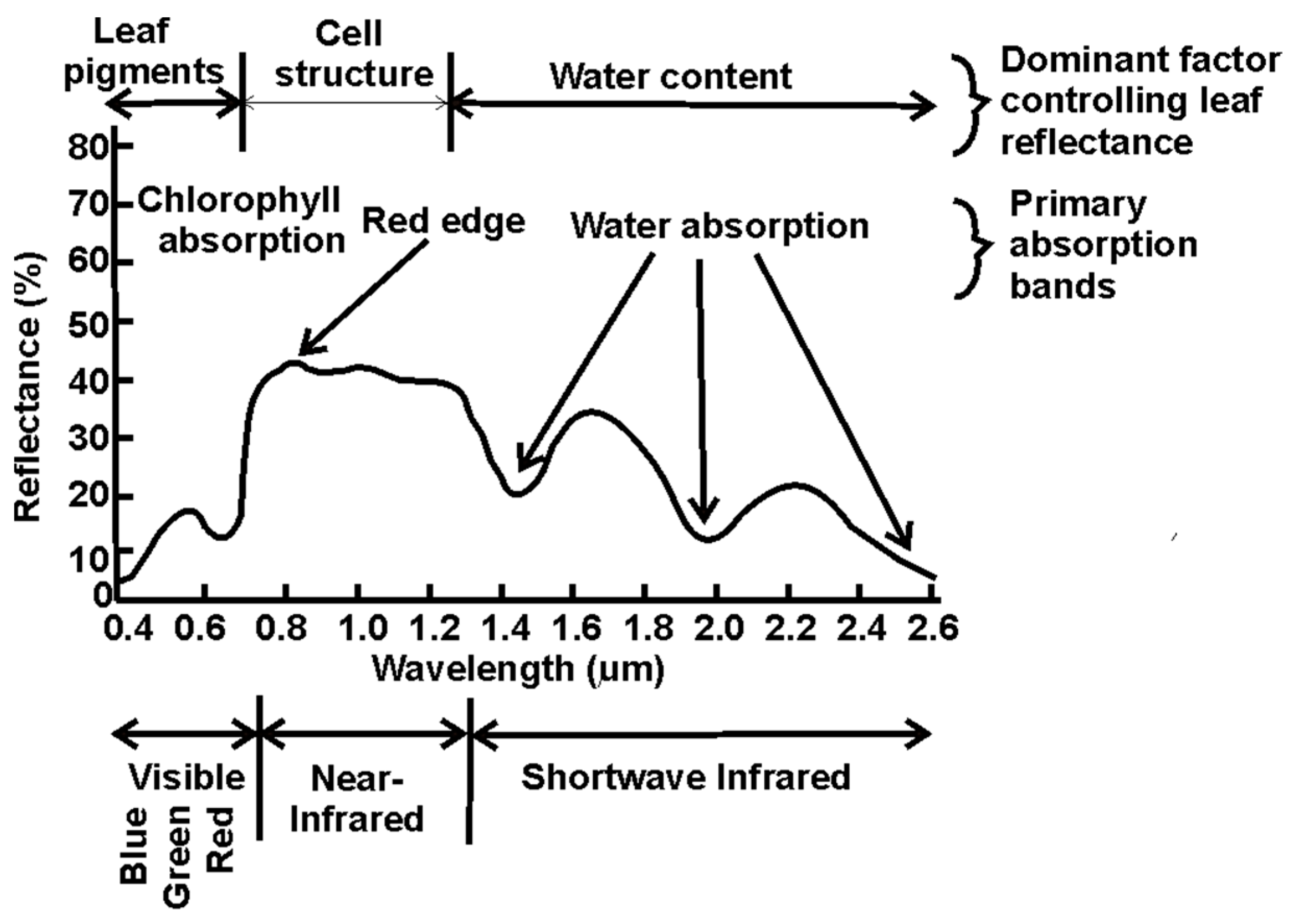 Engproc 31 00047 g001 Engproc 31 00047 g001