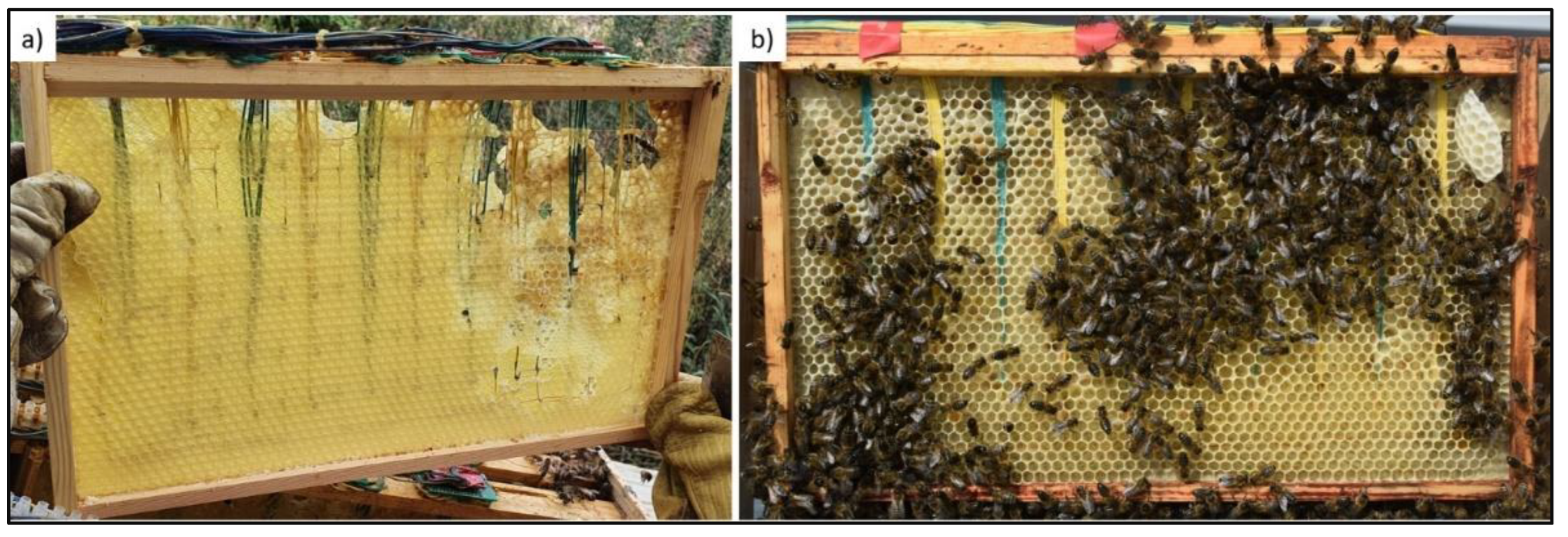 Engproc 31 00057 g003