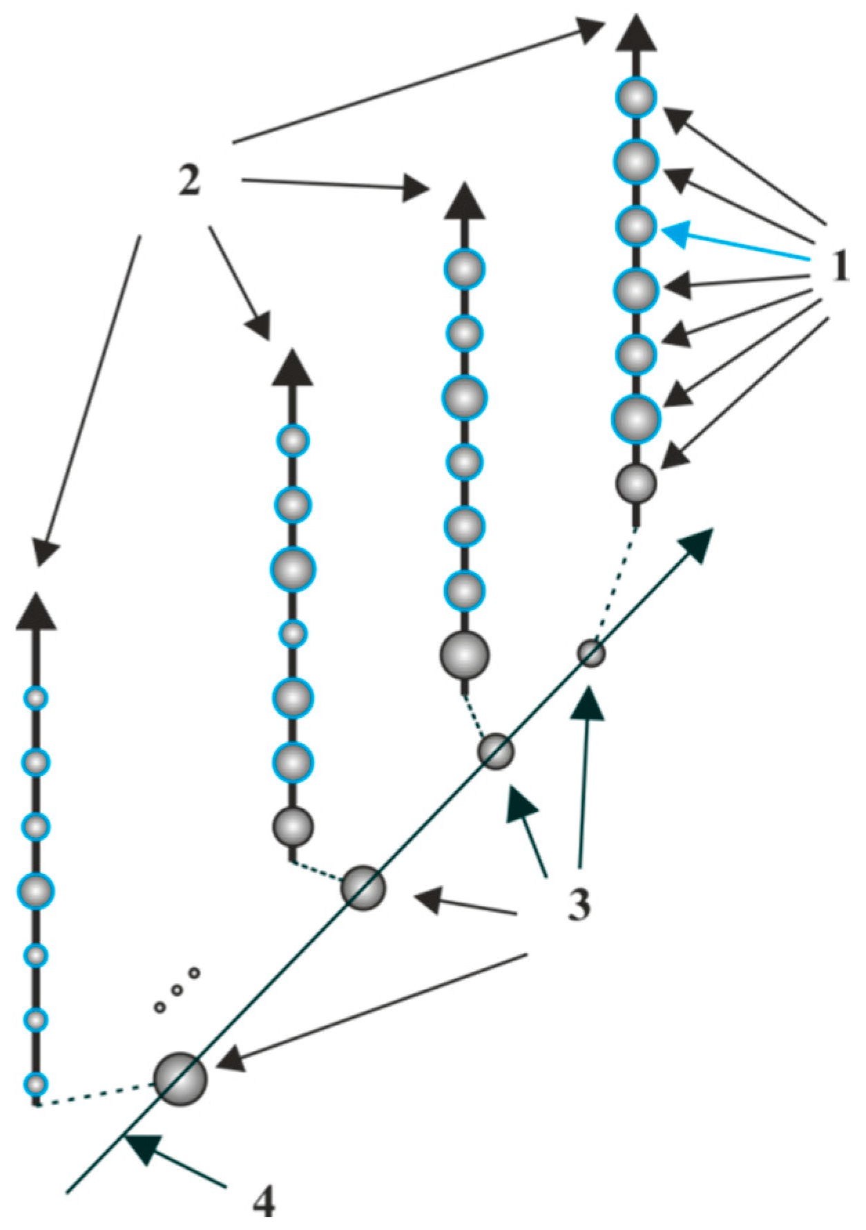 Engproc 33 00045 g003 550