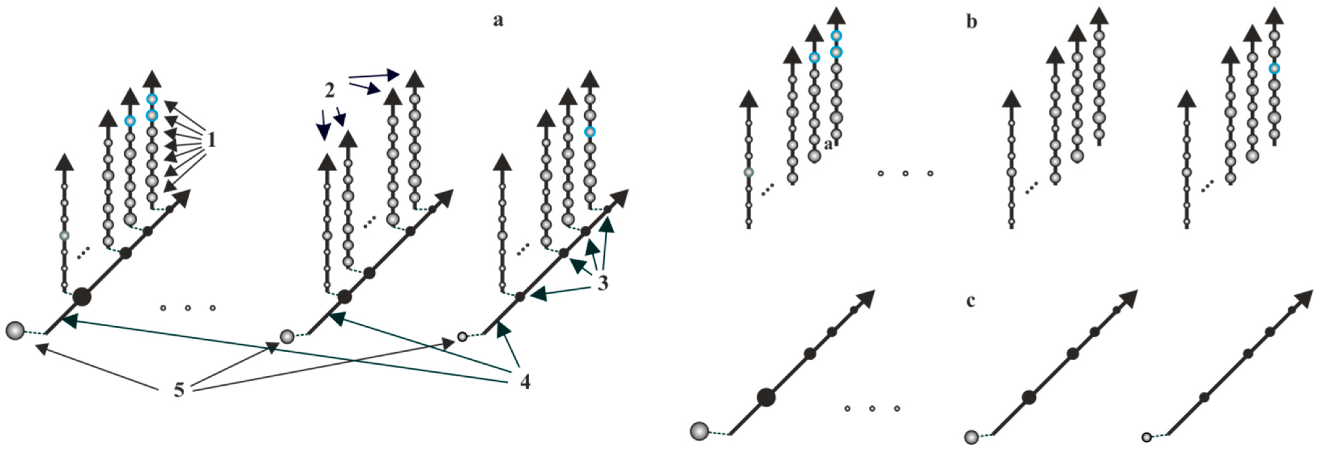 Engproc 33 00045 g004 550