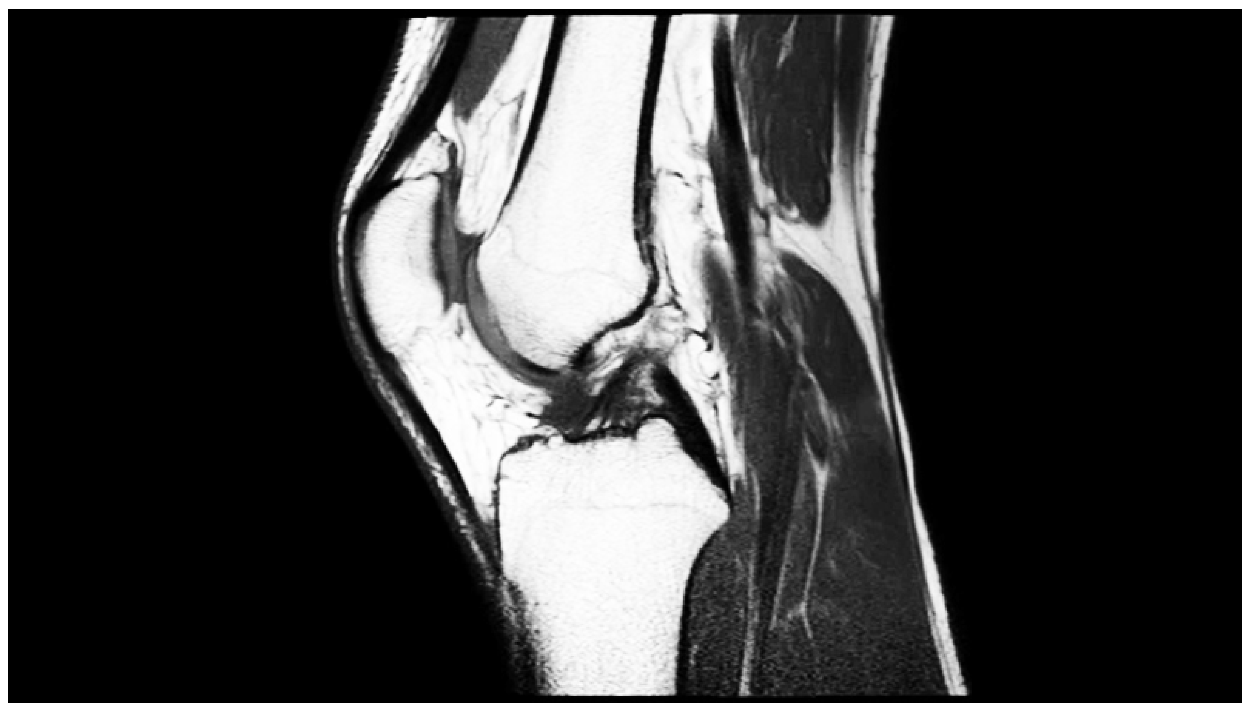 Engproc 33 00047 g002