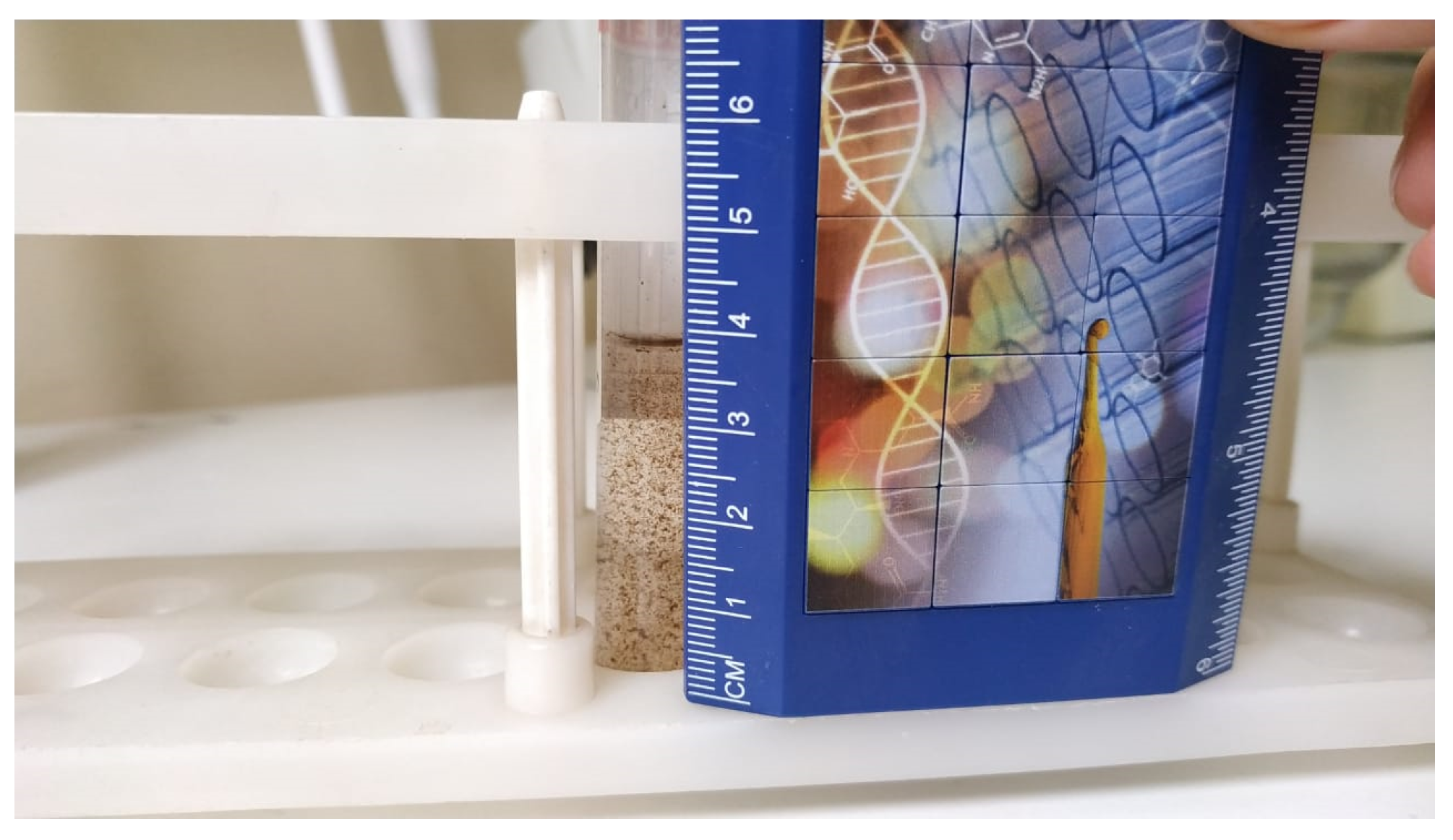 Engproc 33 00056 g006