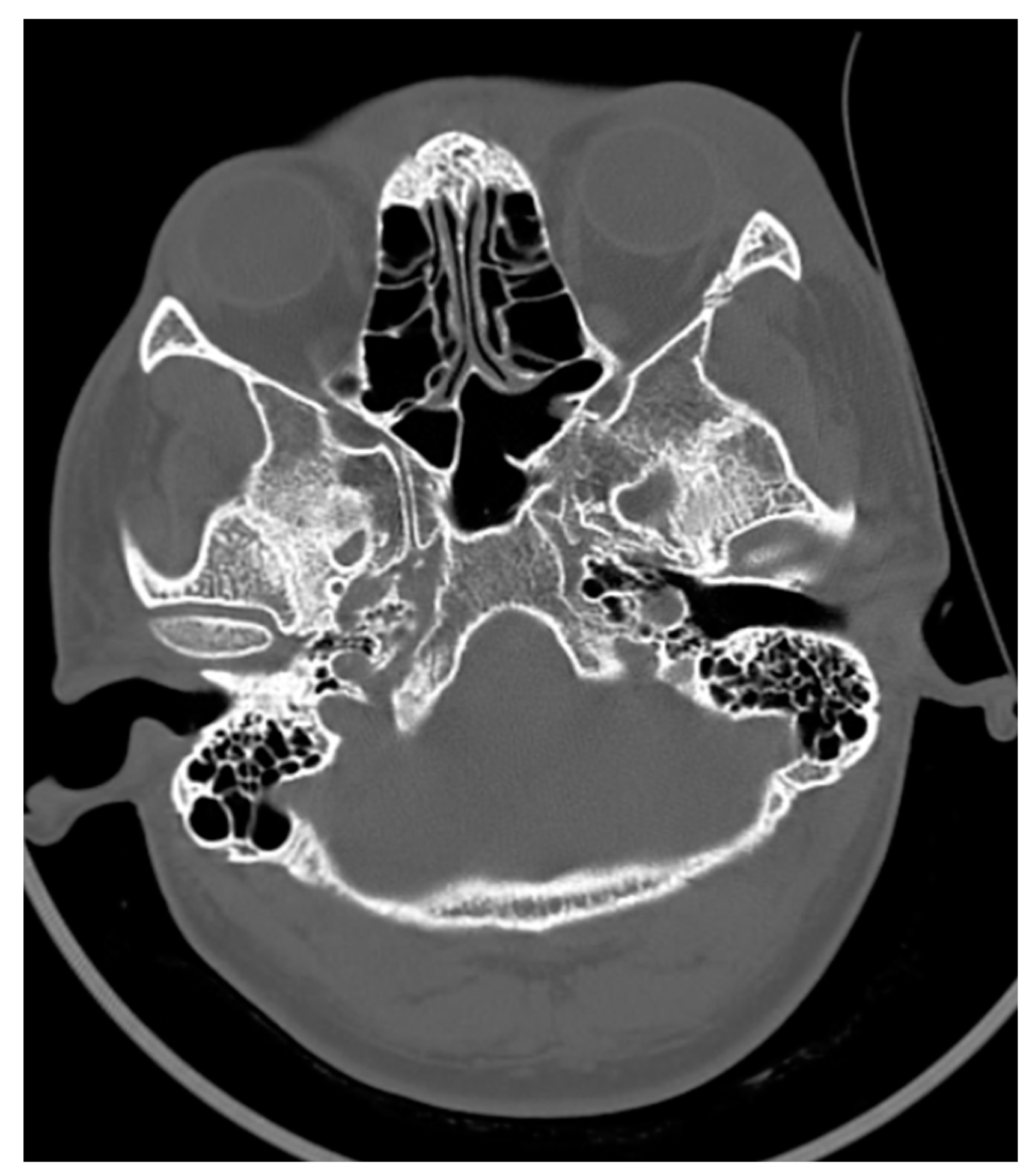 Engproc 34 00001 g004 550