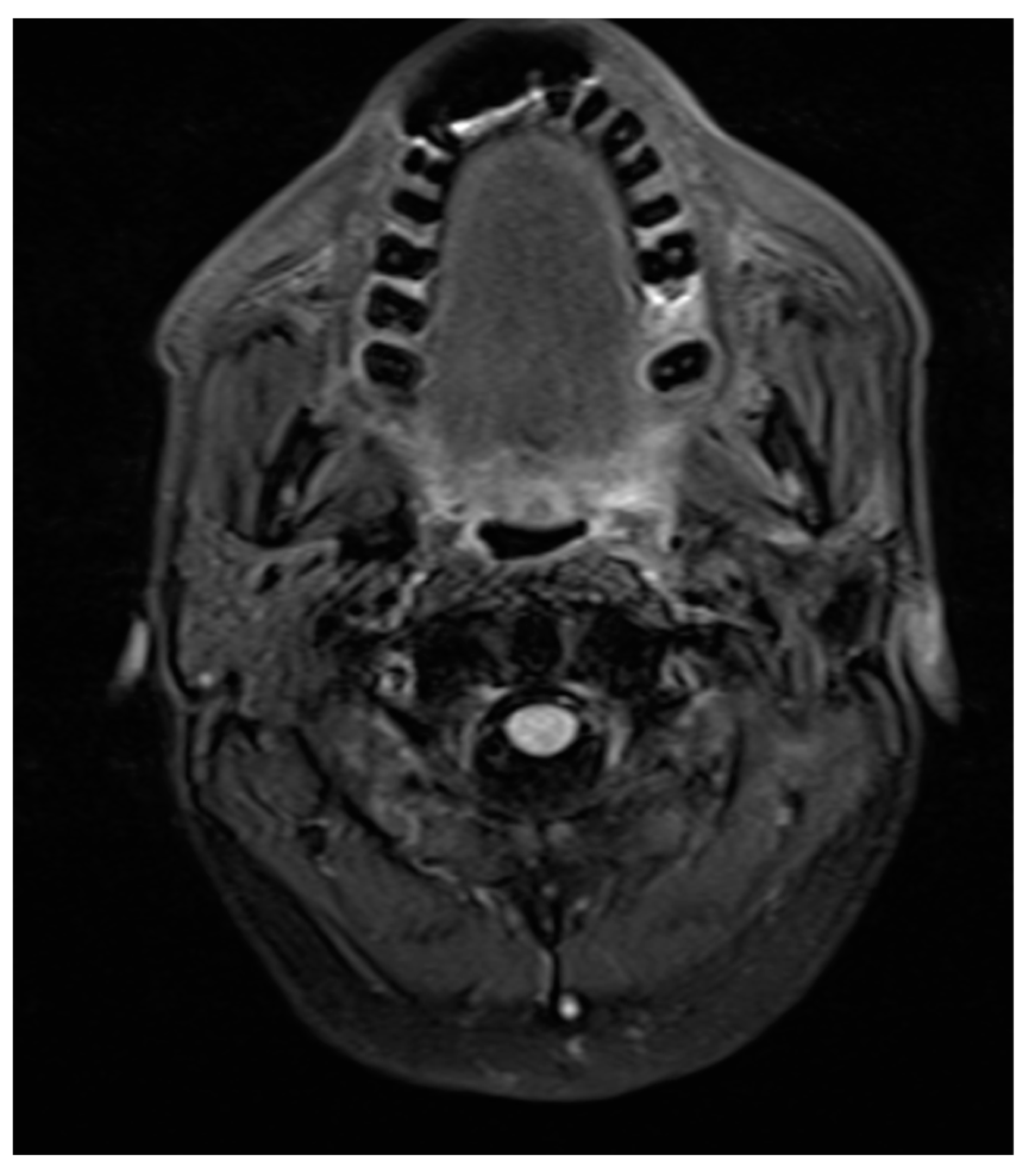 Engproc 34 00001 g009 550