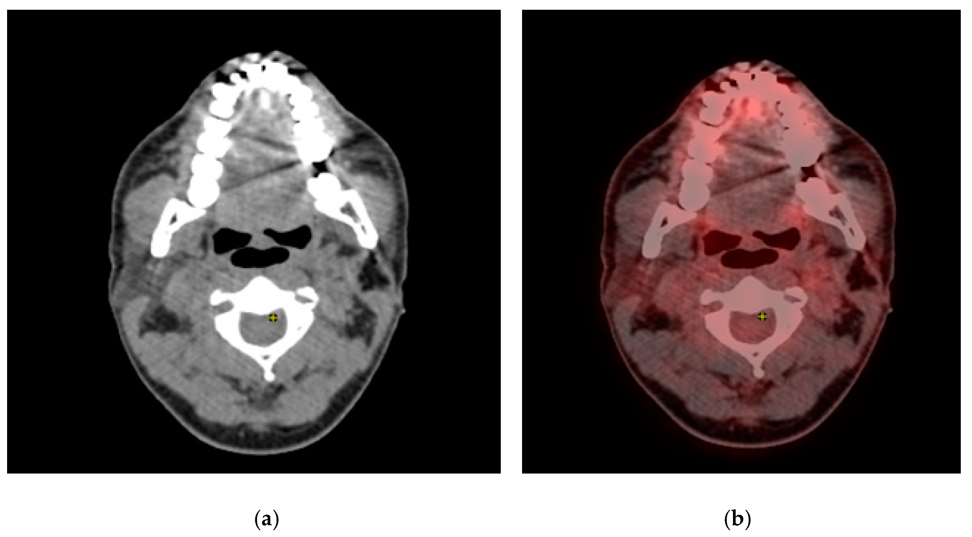 Engproc 34 00001 g010 550