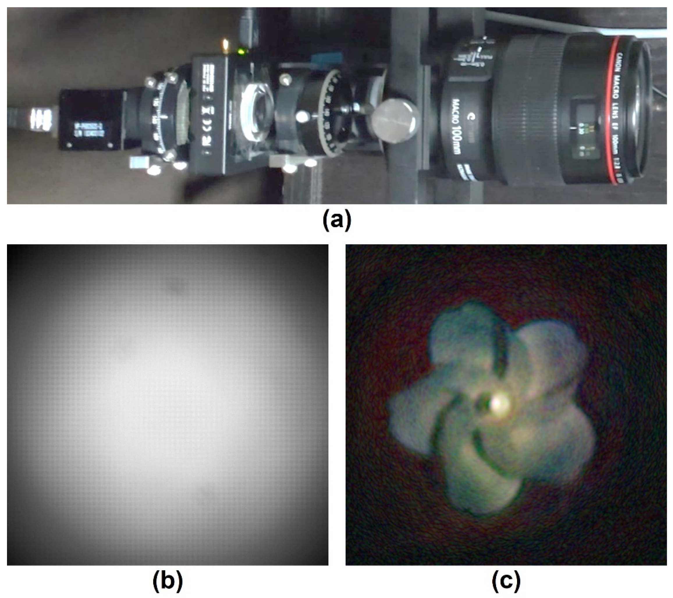 Engproc 34 00003 g002 550