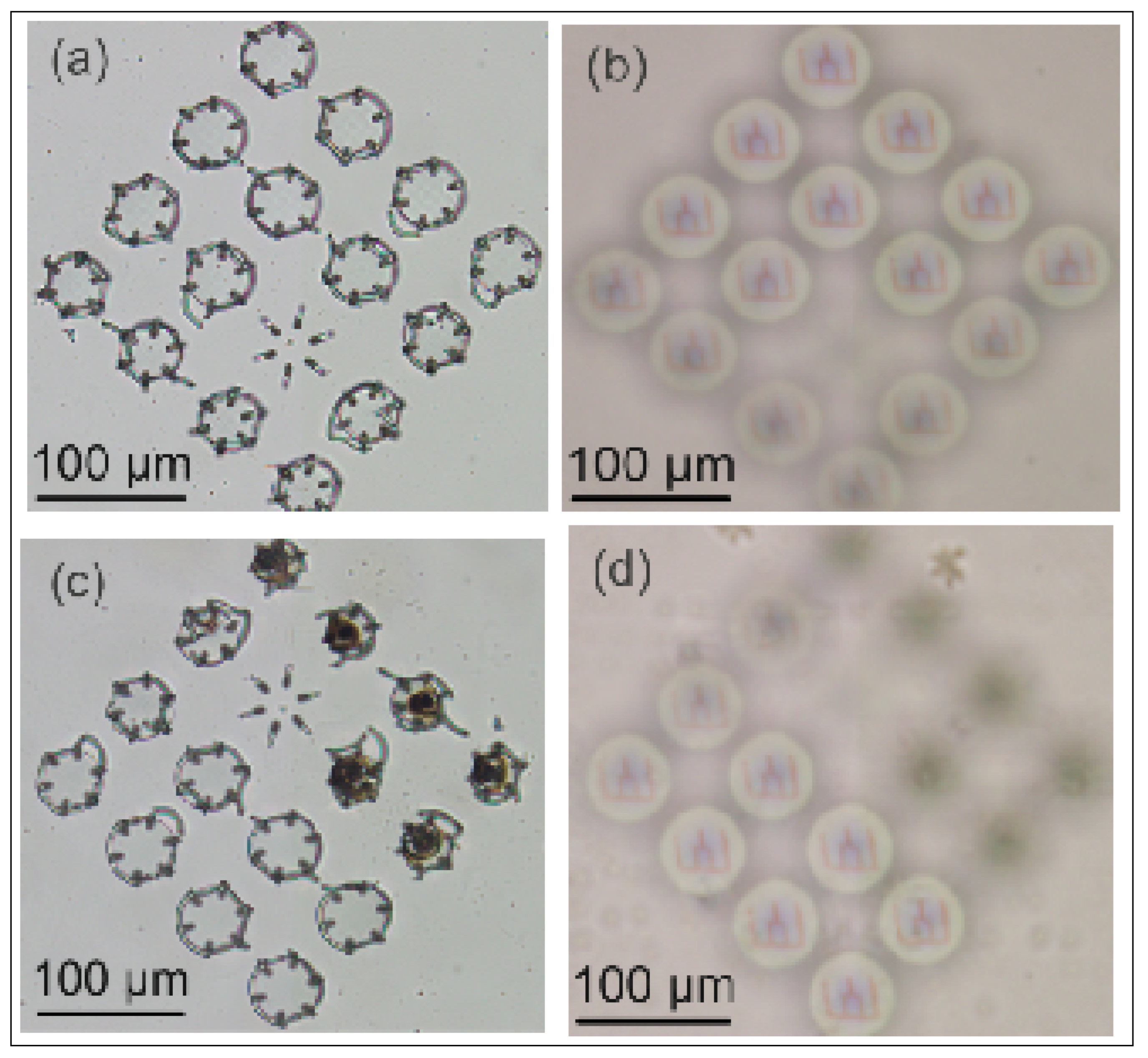 Engproc 34 00020 g002 550