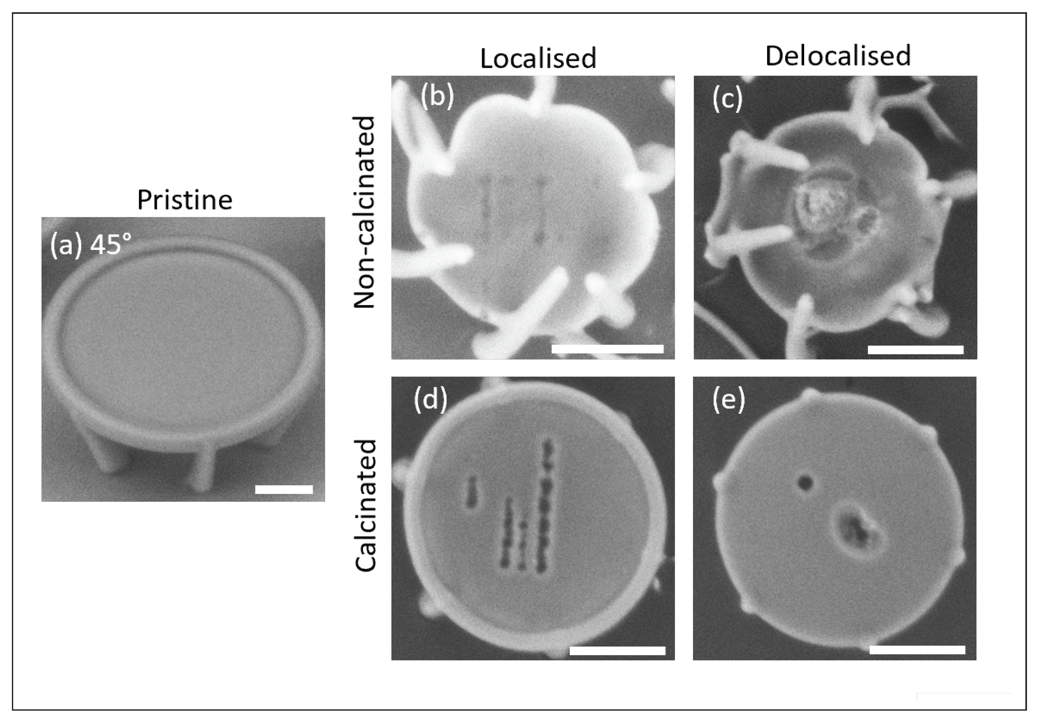 Engproc 34 00020 g003 550