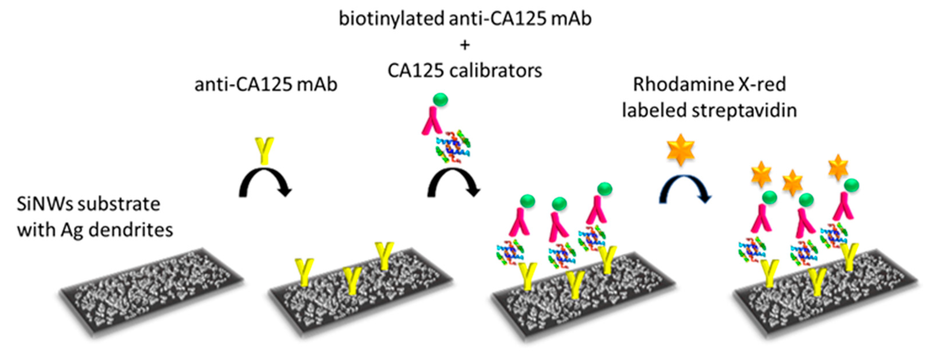 Engproc 35 00007 g002