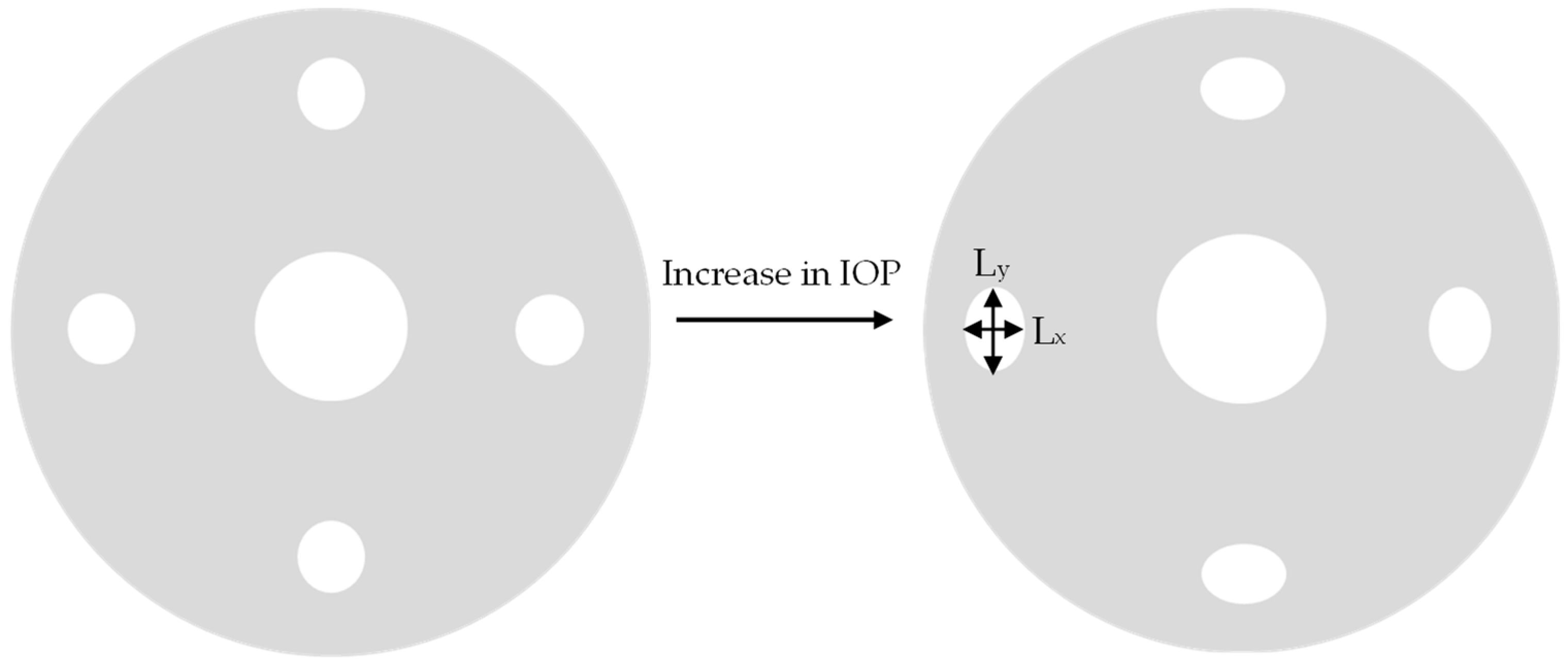 Engproc 35 00015 g001 550