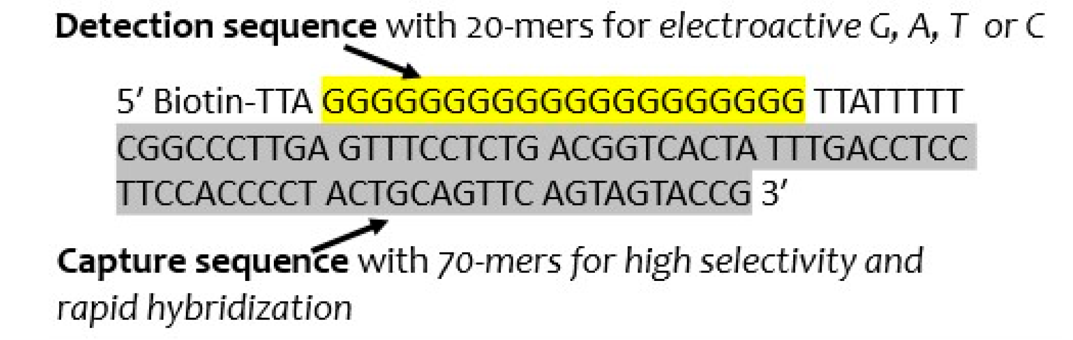 Engproc 35 00028 g001