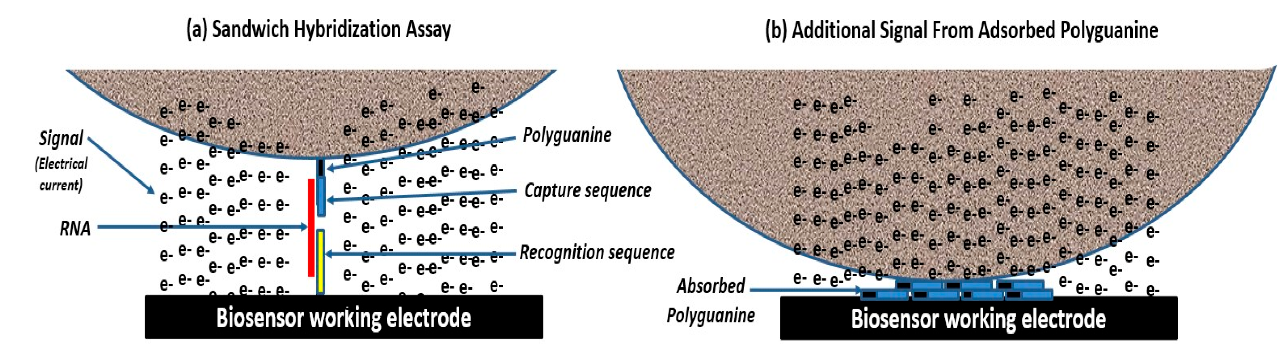 Engproc 35 00028 g002