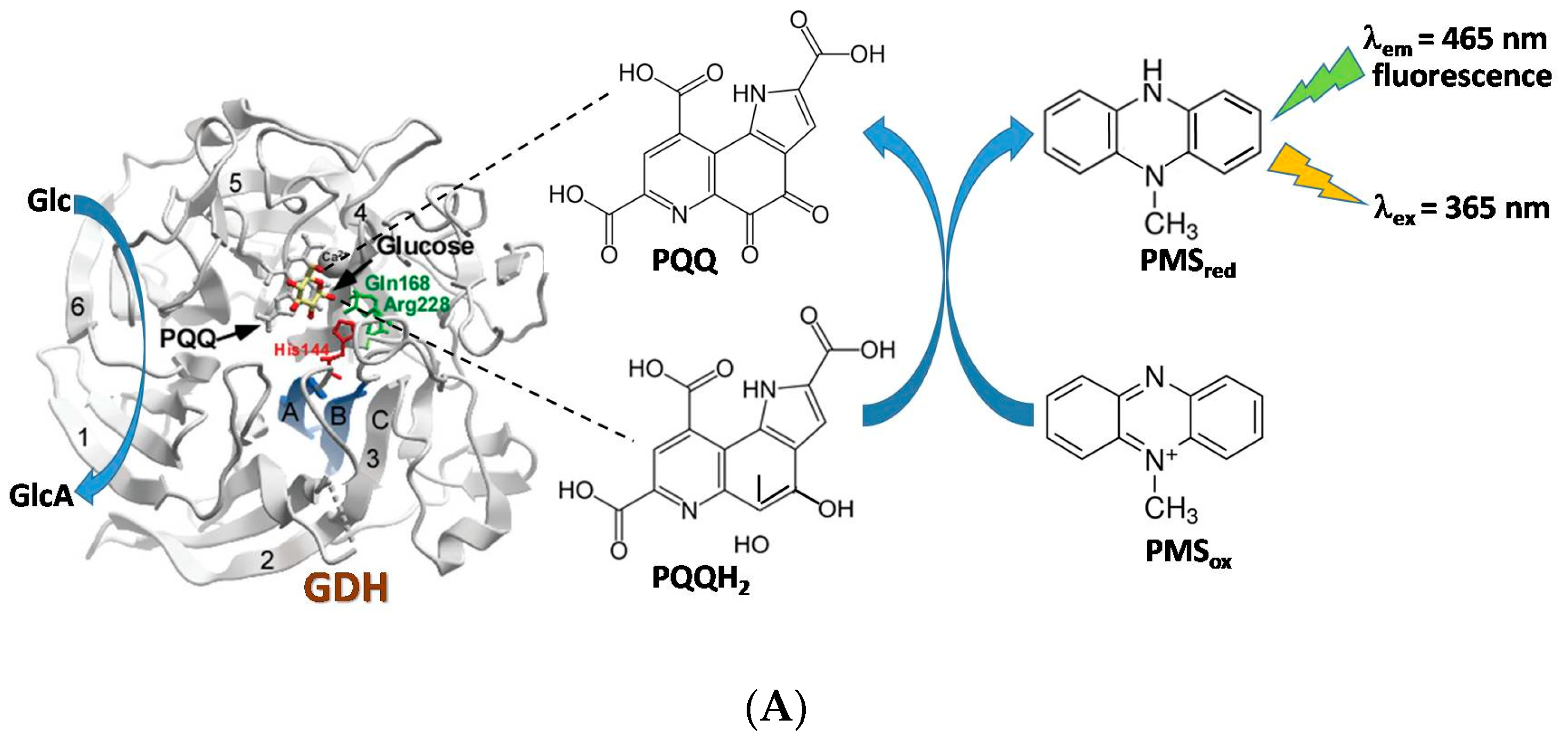 Engproc 35 00033 g001a 550