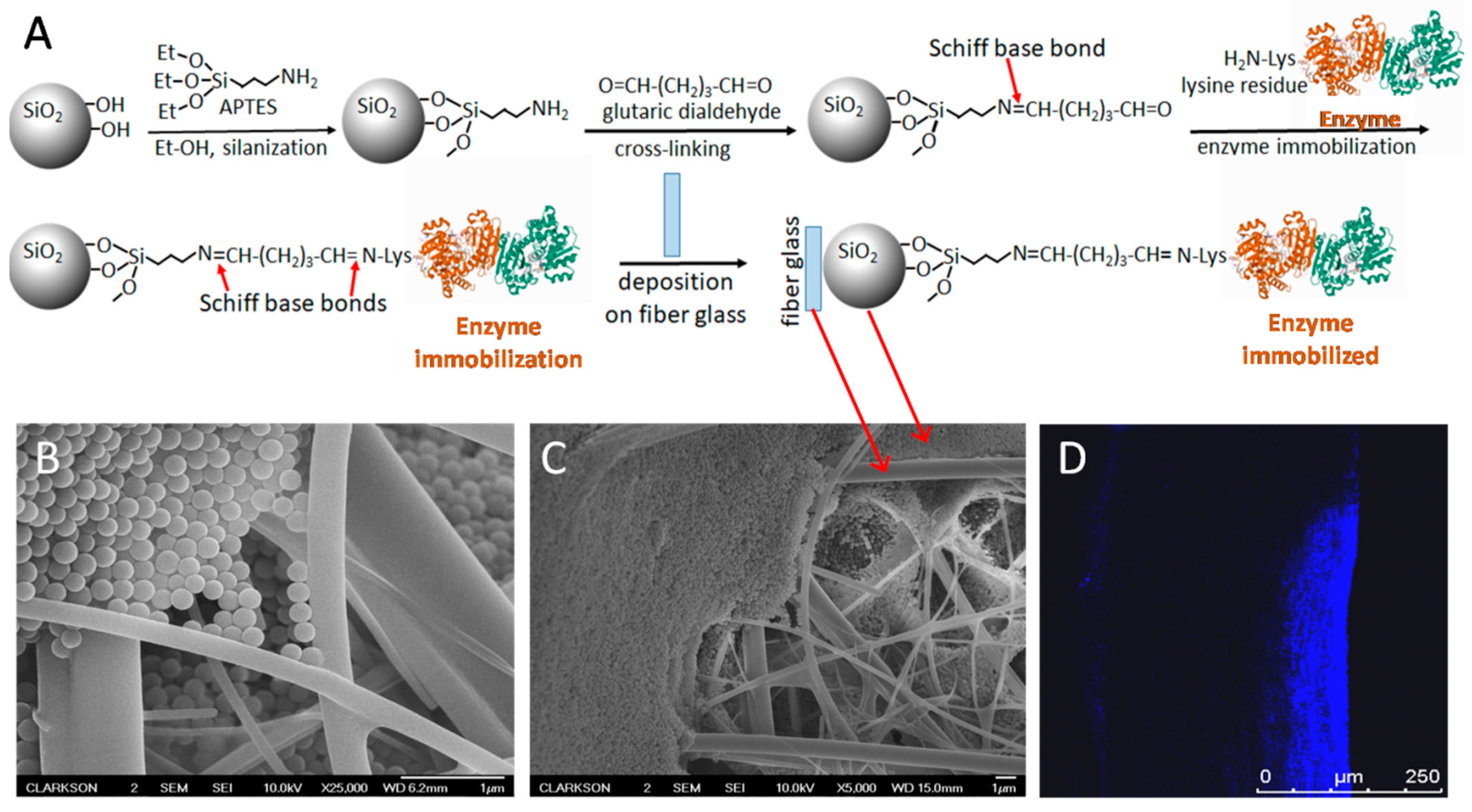 Engproc 35 00033 g003 550
