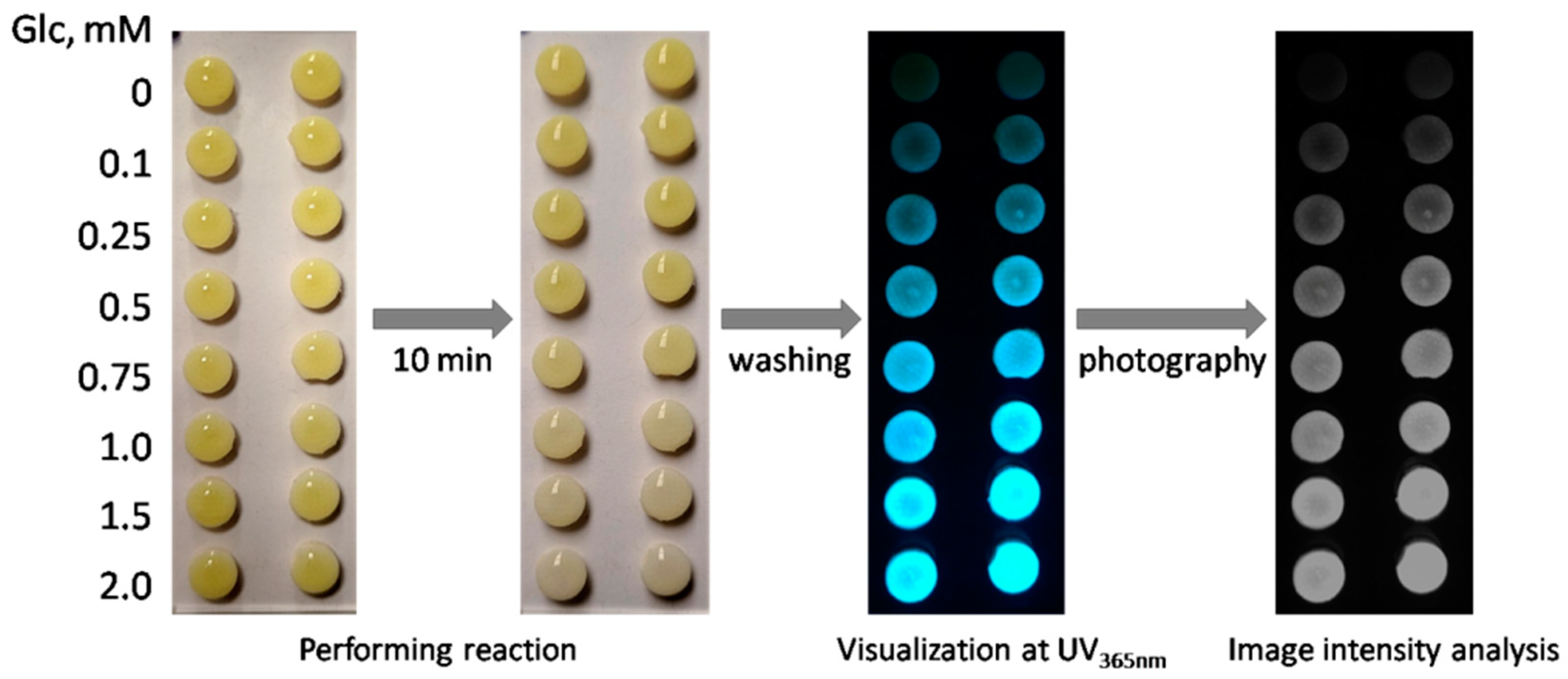 Engproc 35 00033 g004 550