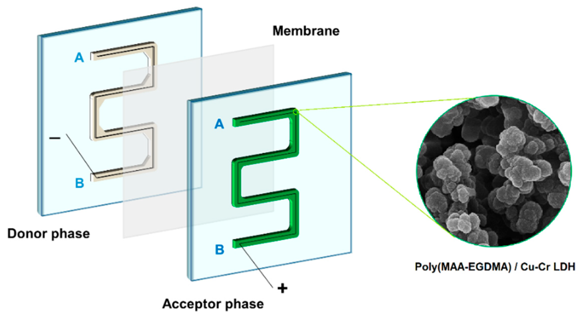 Engproc 35 00036 g001 550