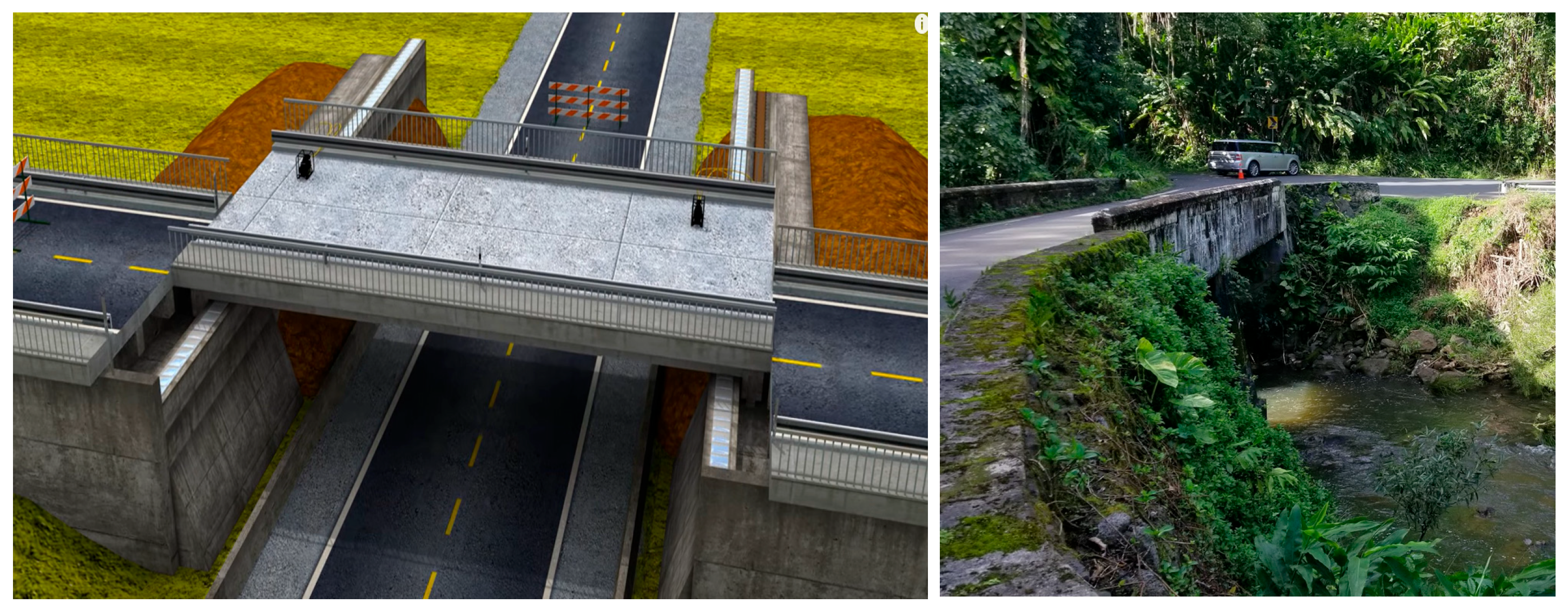 Engproc 36 00045 g003 550