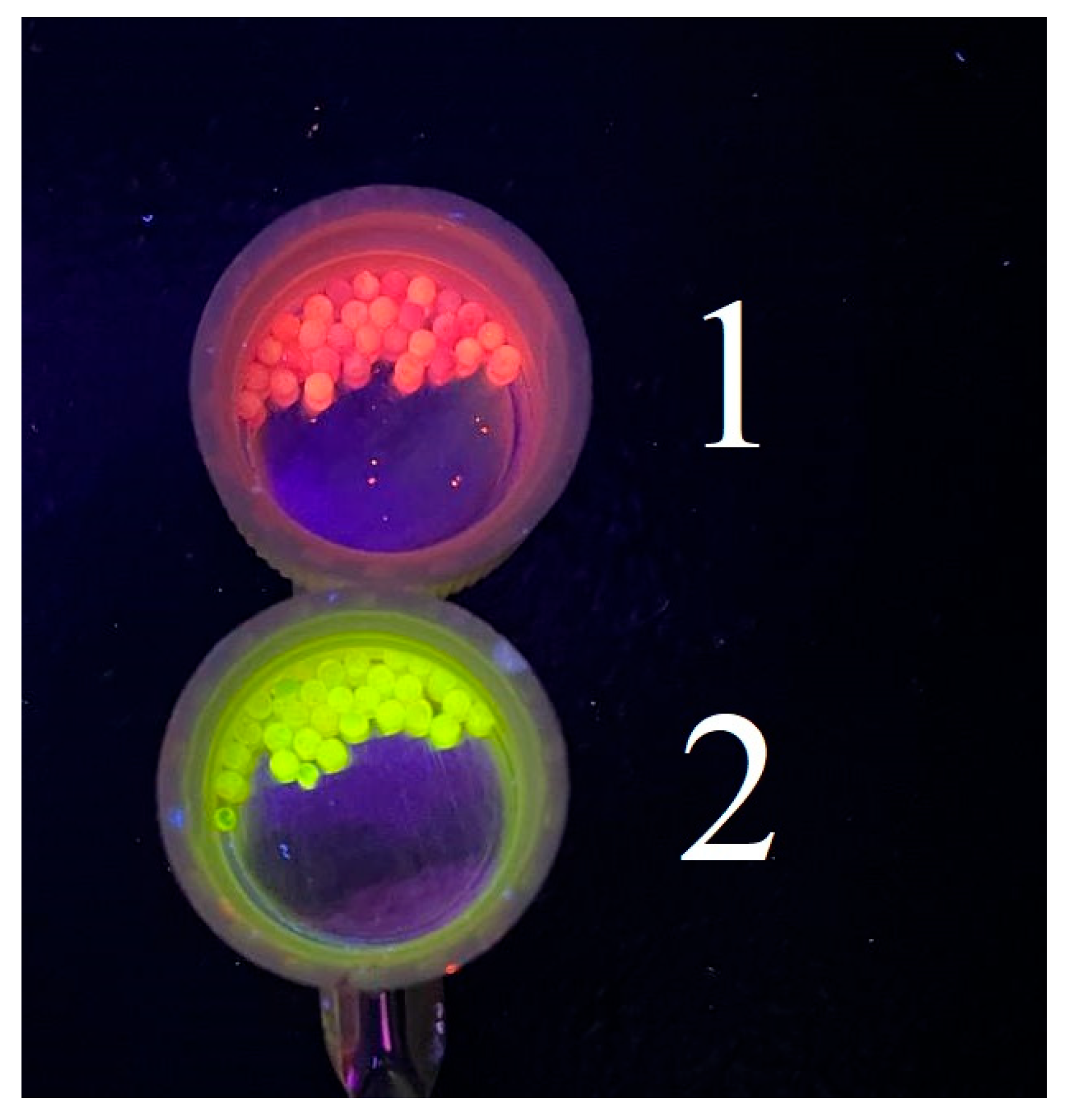 Engproc 37 00018 g001 550