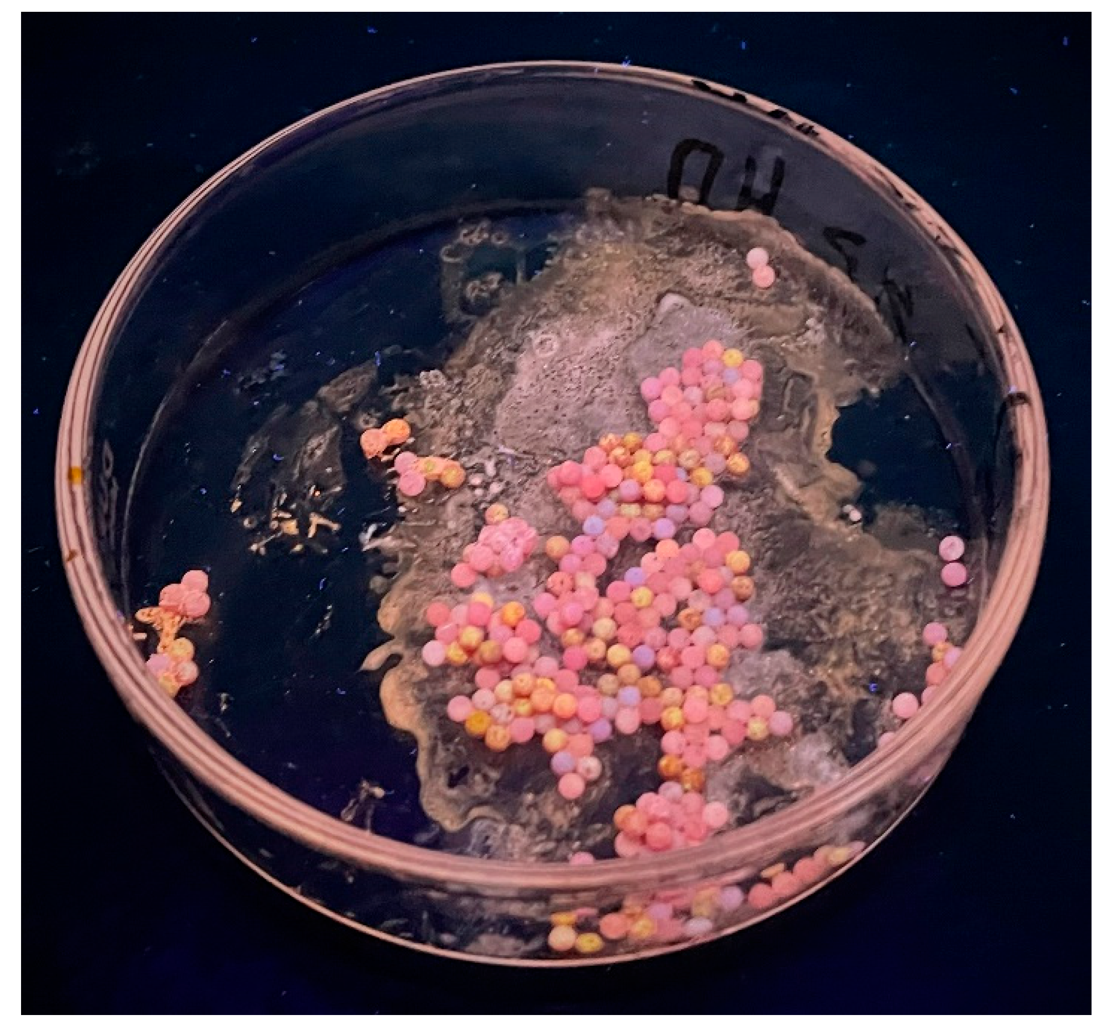 Engproc 37 00018 g003 550