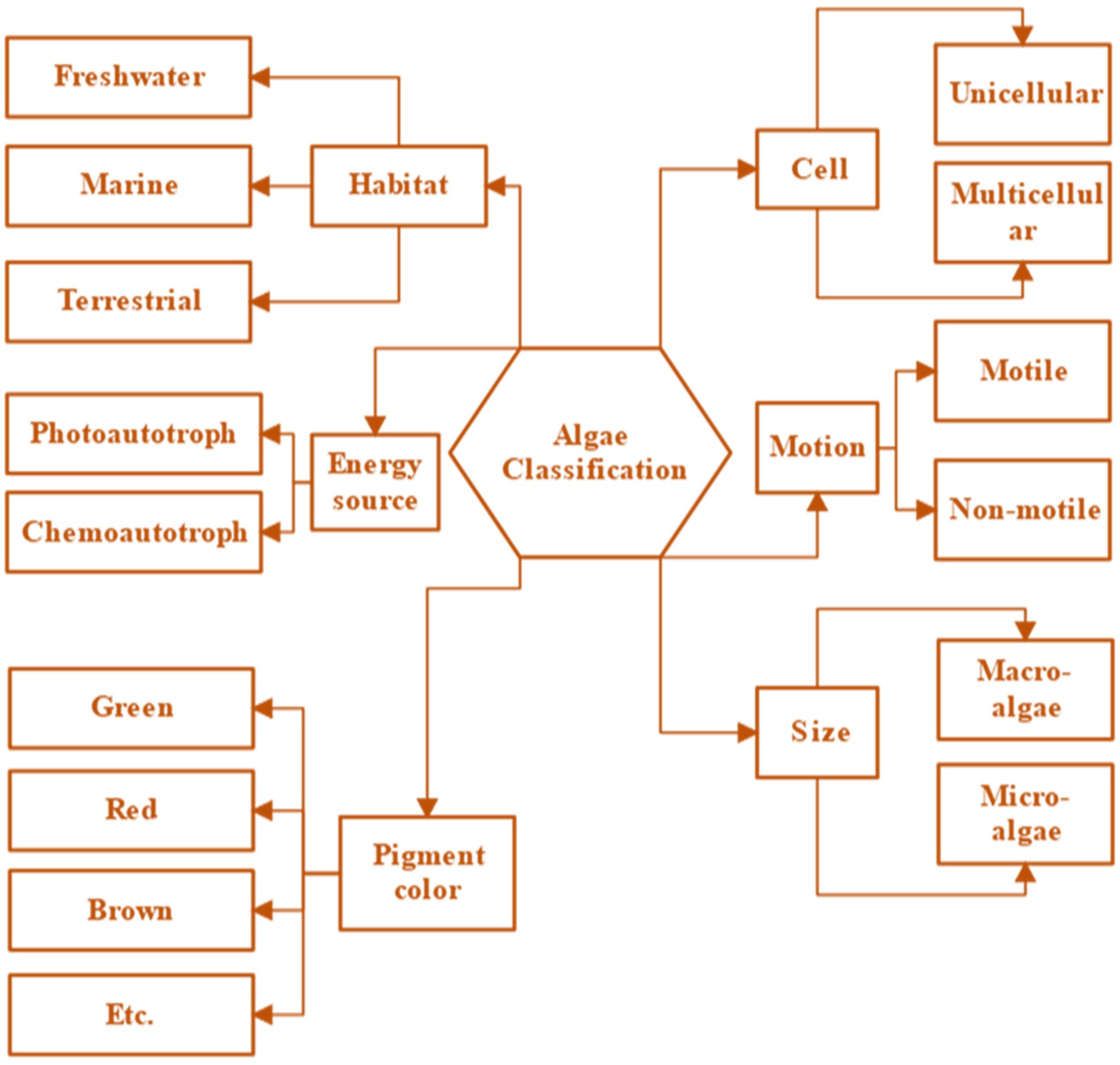 Engproc 37 00022 g001 550