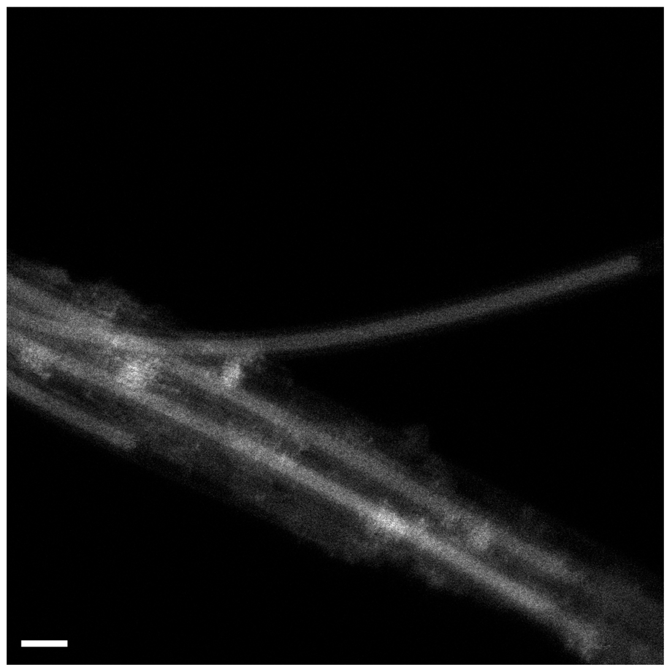 Engproc 37 00046 g001 550