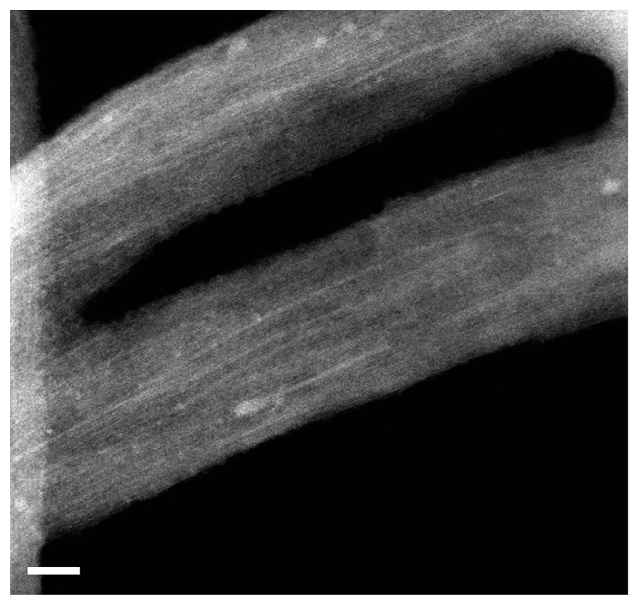 Engproc 37 00049 g003 550