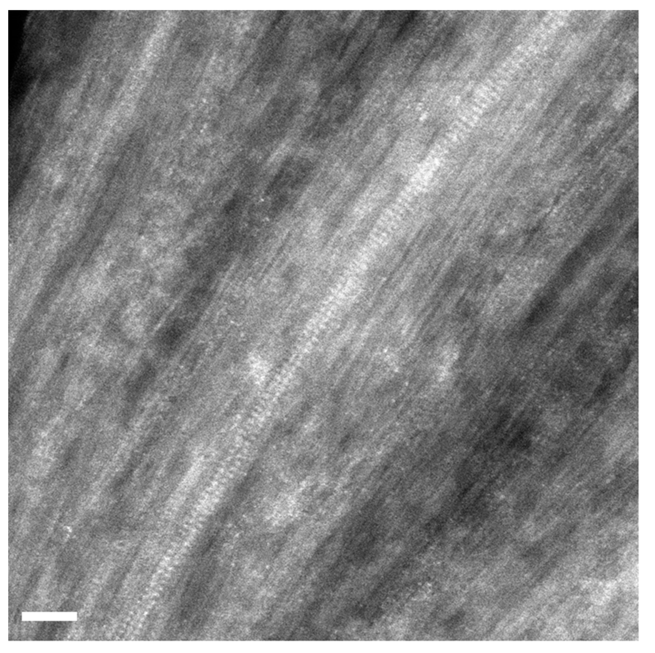 Engproc 37 00049 g004 550