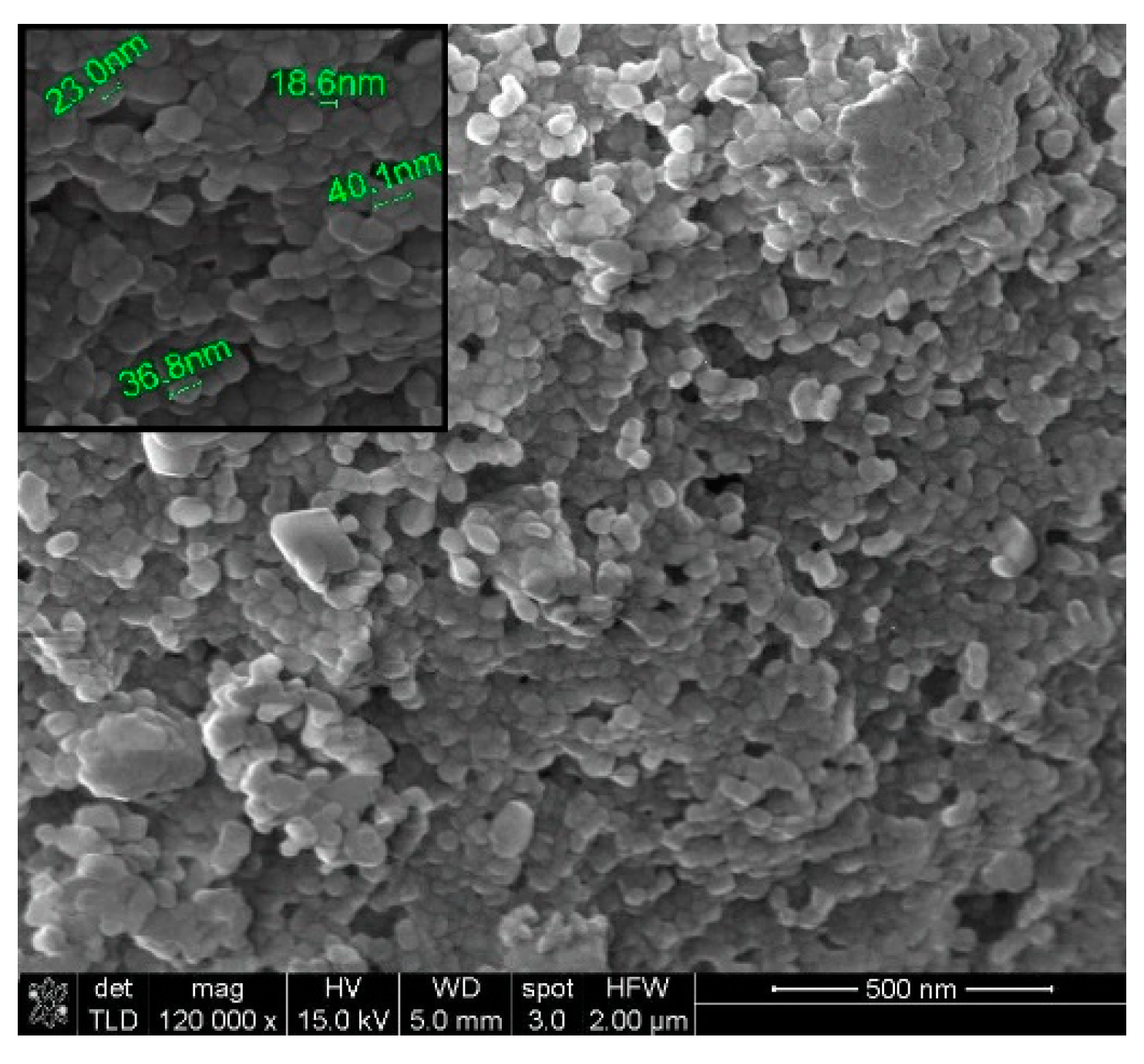 Engproc 37 00054 g004 550