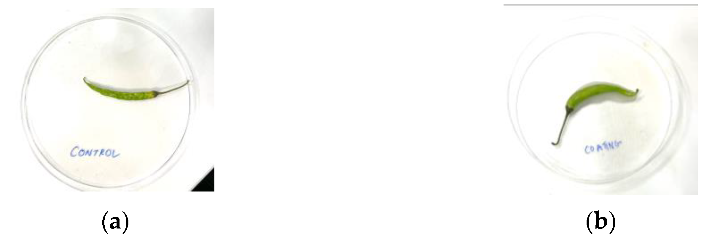 Engproc 37 00080 g005 550