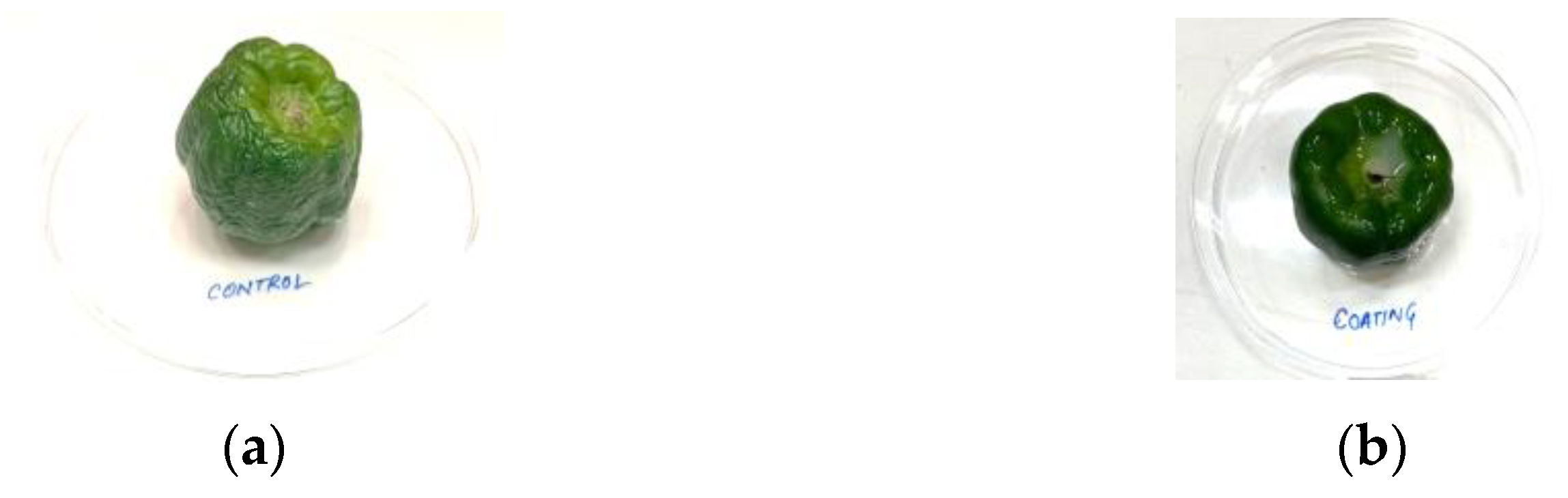 Engproc 37 00080 g006 550