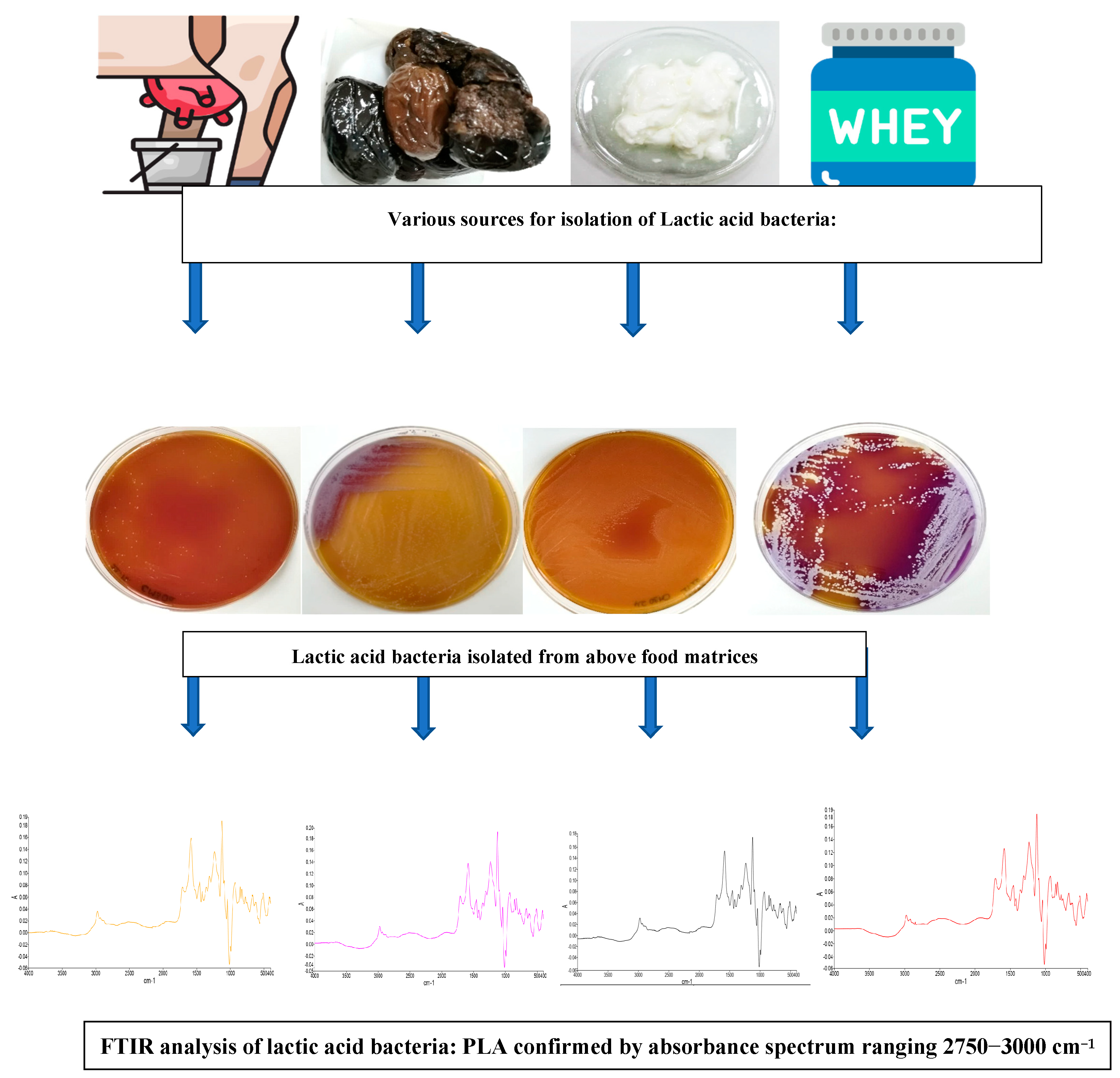 Engproc 37 00088 g001 550