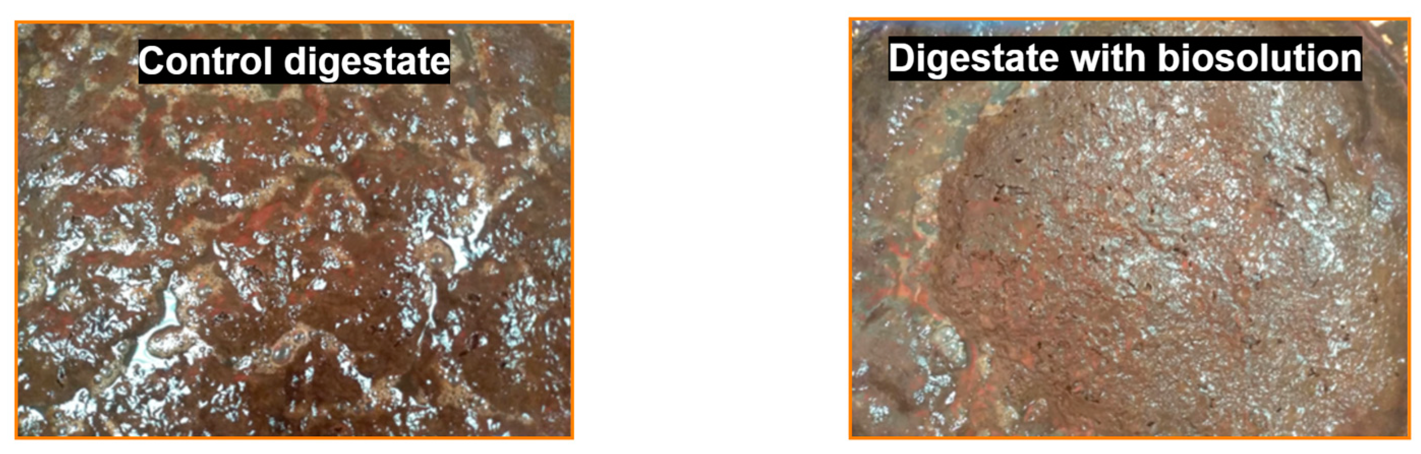 Engproc 37 00095 g001 550